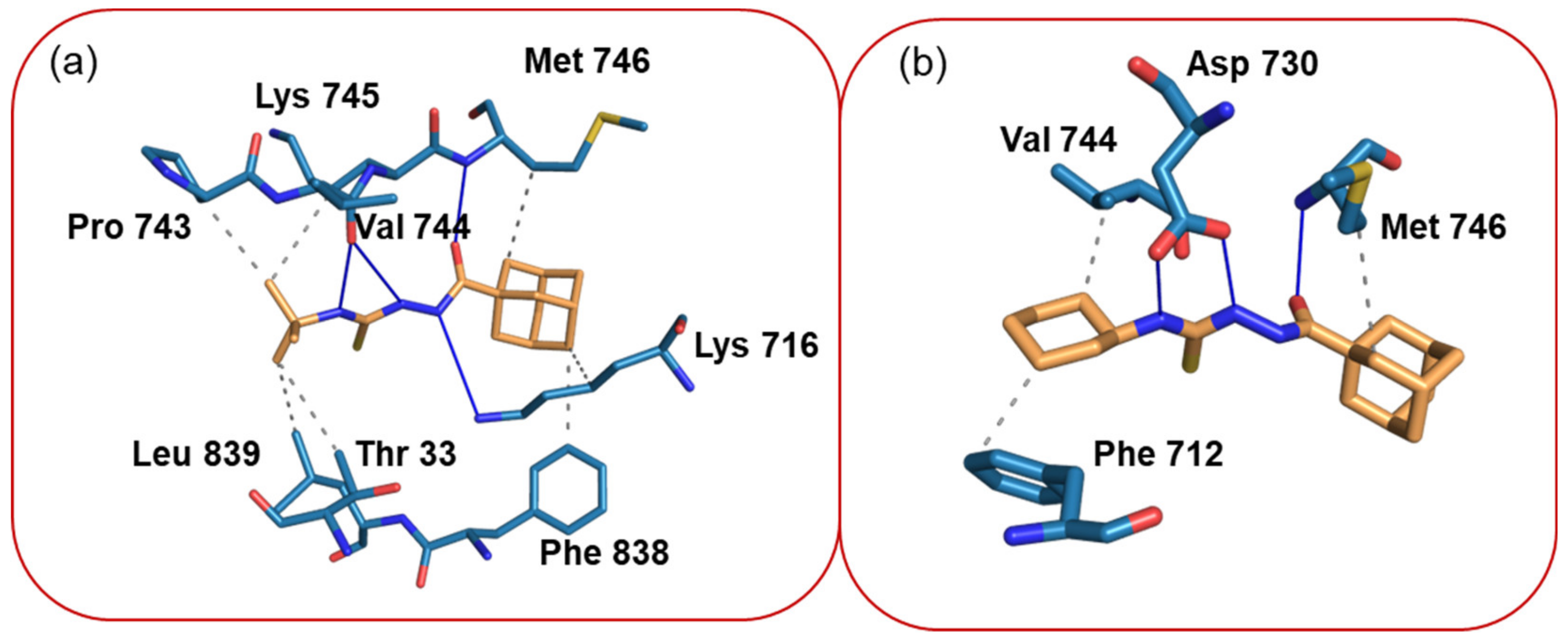 Molecules 27 08425 g006
