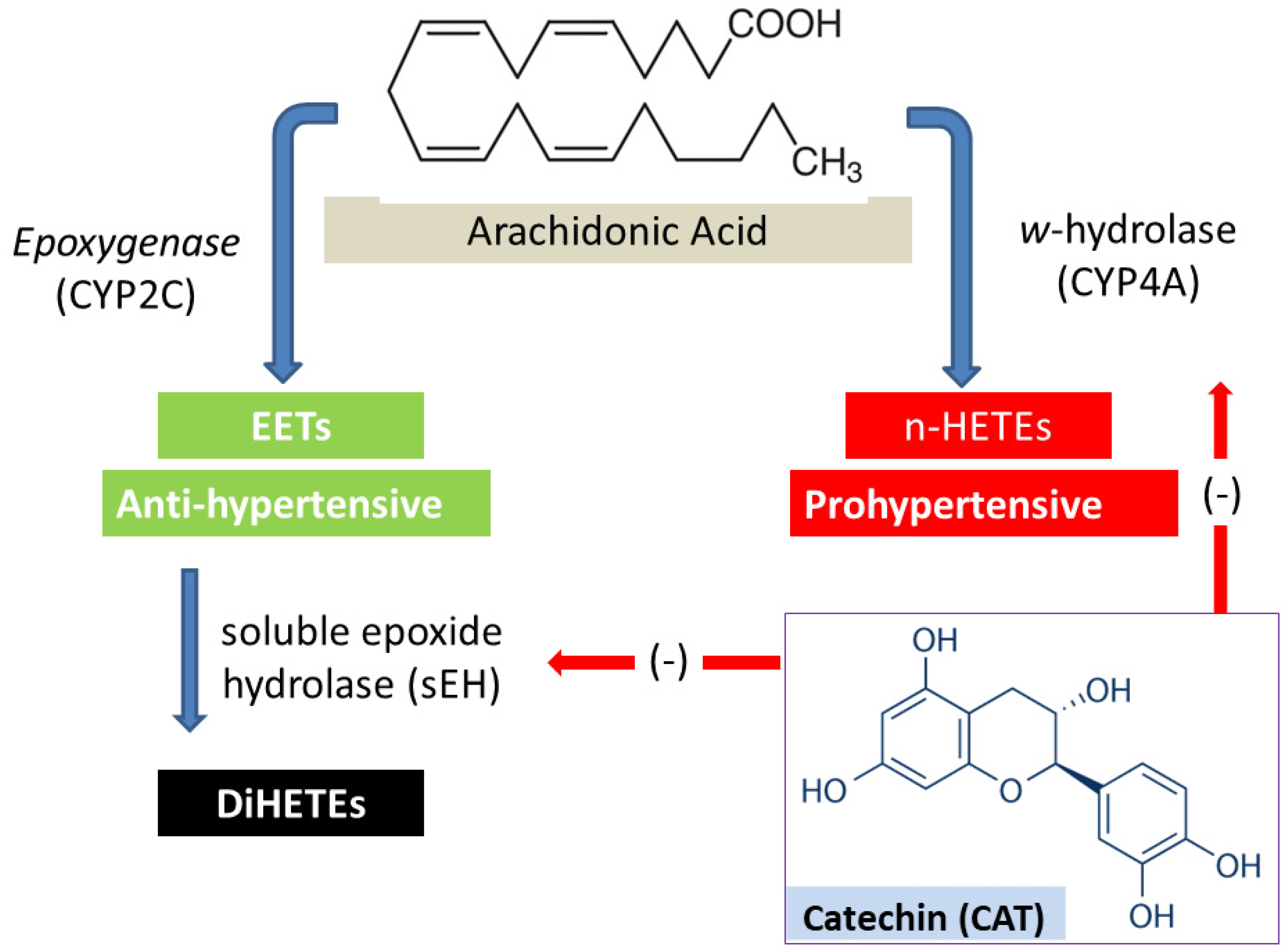 Molecules 27 08432 g001 Molecules 27 08432 g001