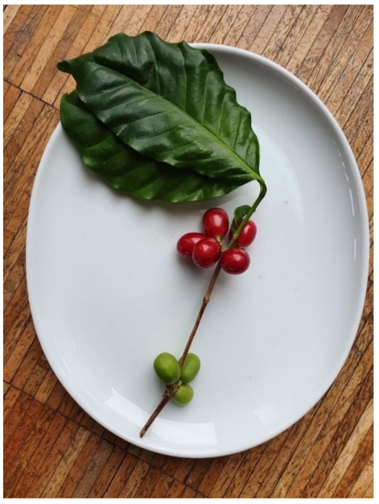 Molecules 27 08435 g002 Molecules 27 08435 g002