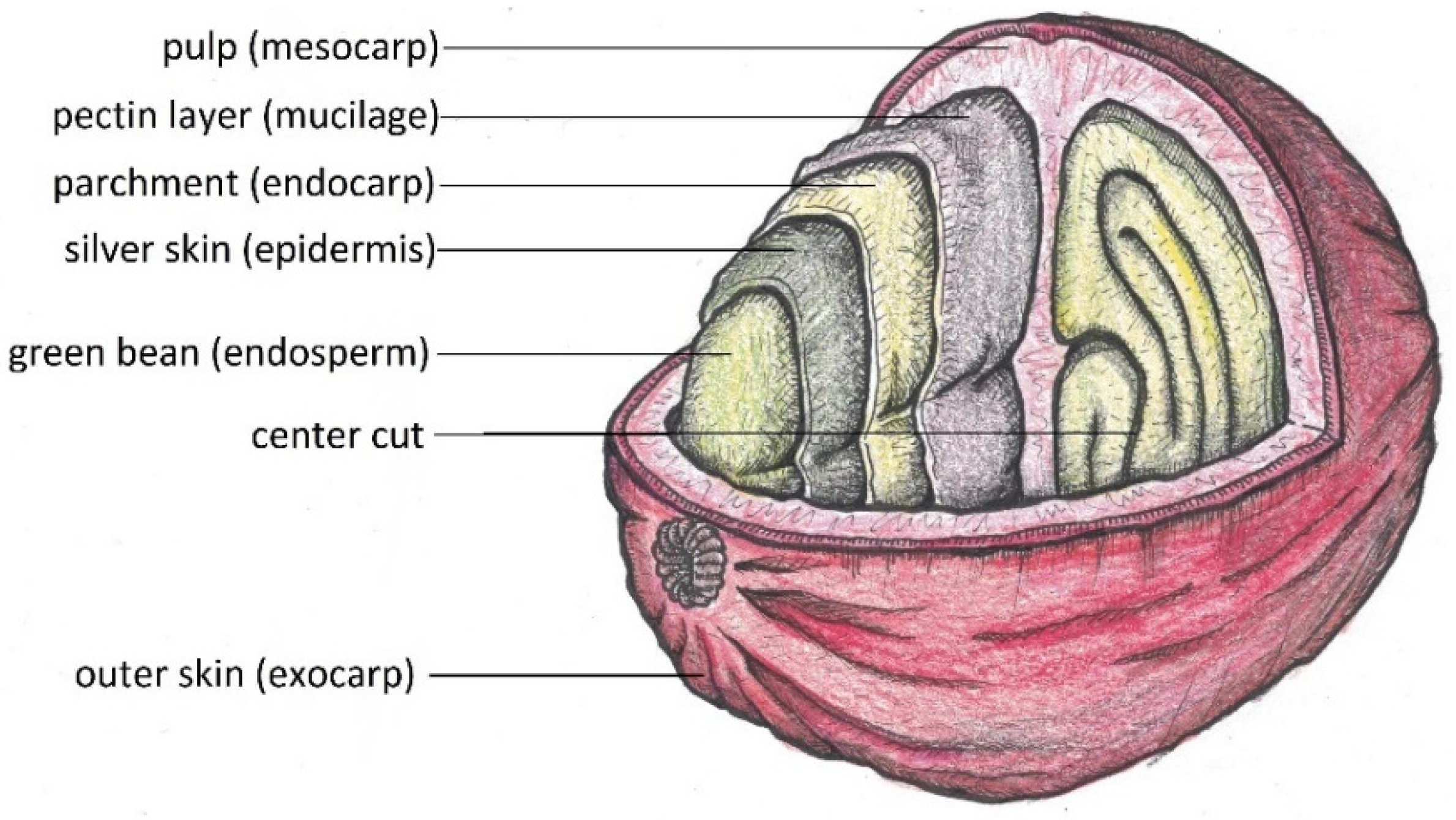 Molecules 27 08435 g003 Molecules 27 08435 g003