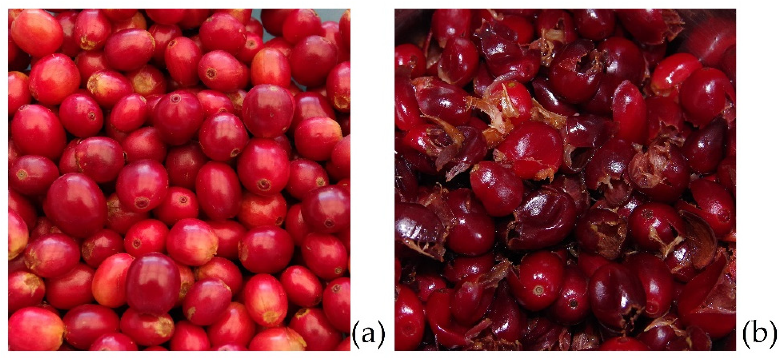 Molecules 27 08435 g007 Molecules 27 08435 g007