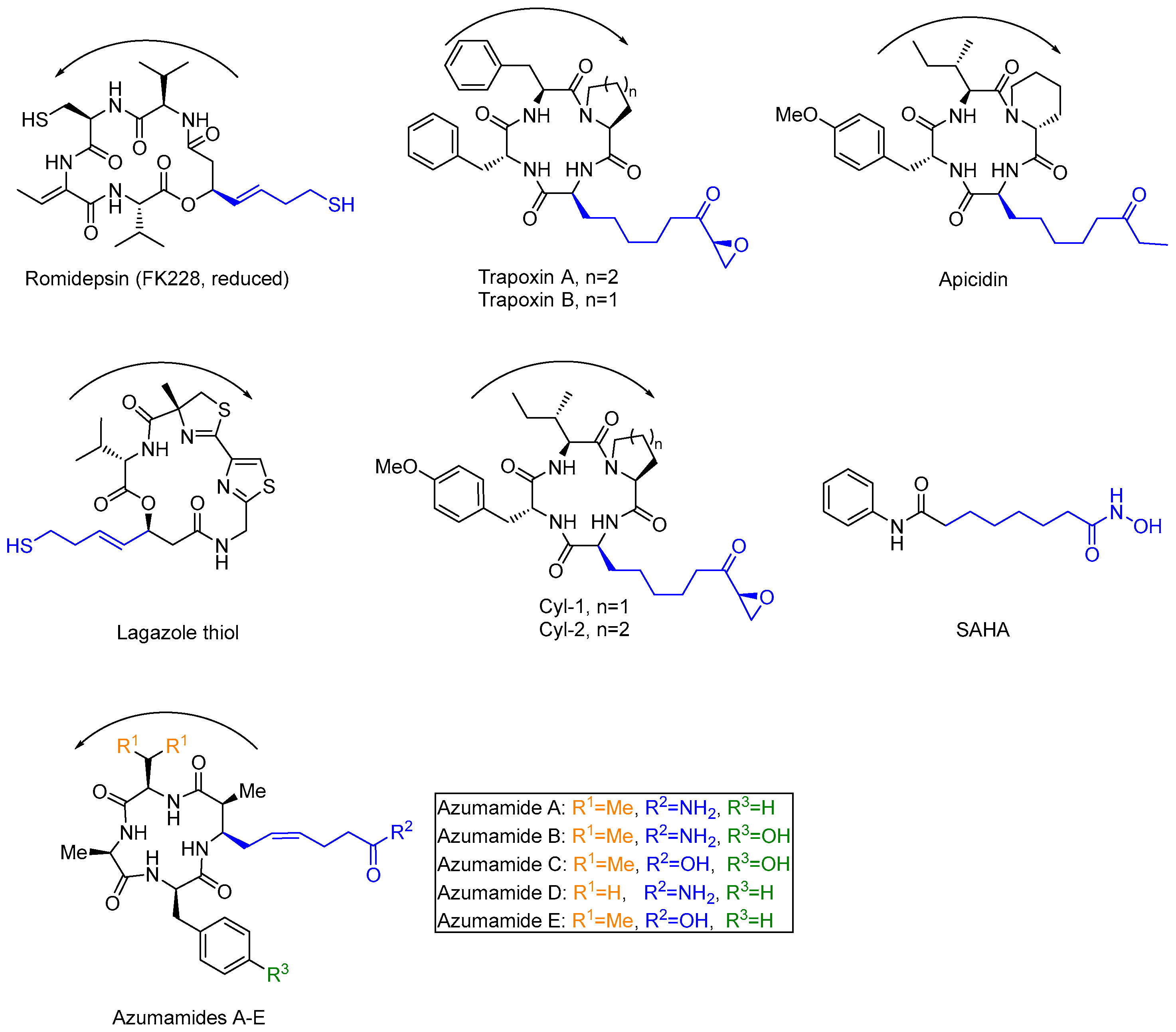 Molecules 27 08438 g001