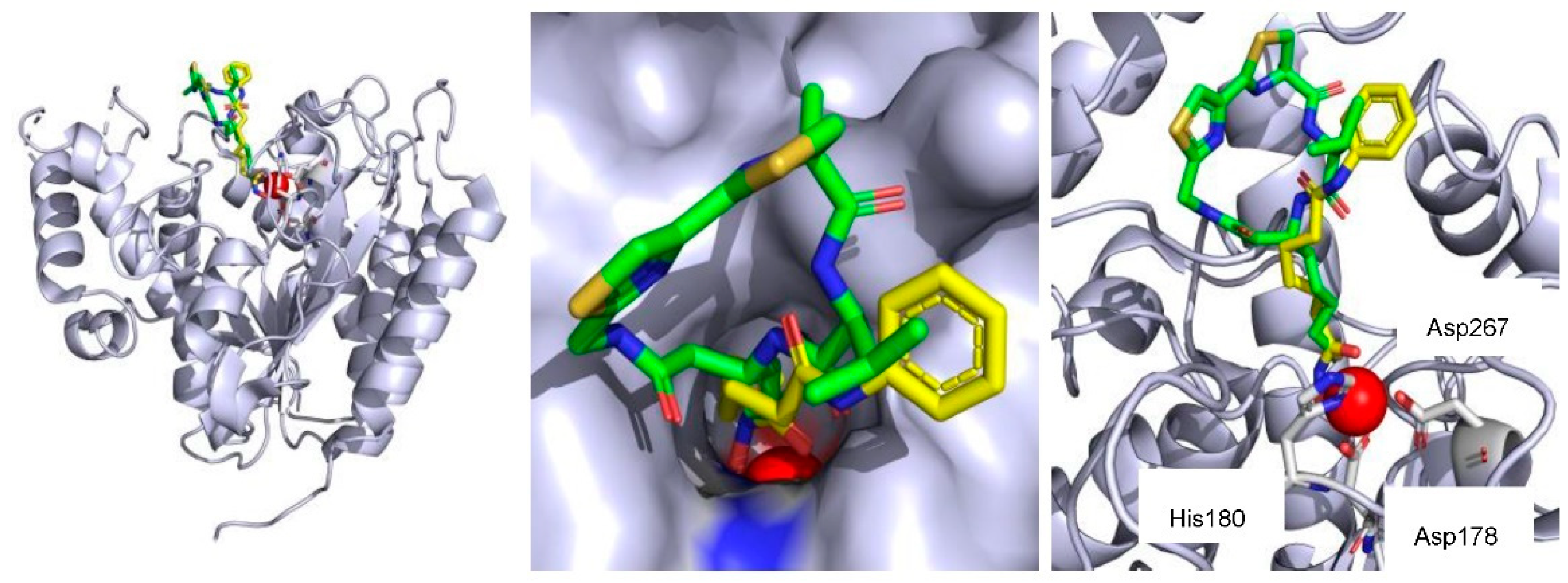Molecules 27 08438 g003