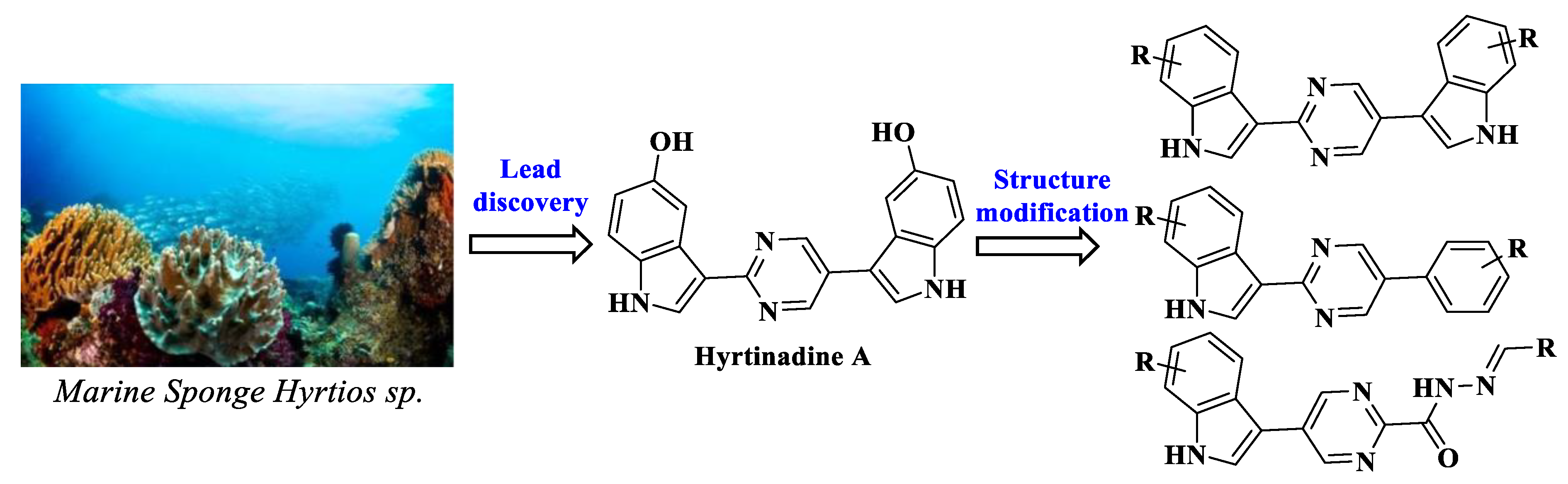 Molecules 27 08439 g001
