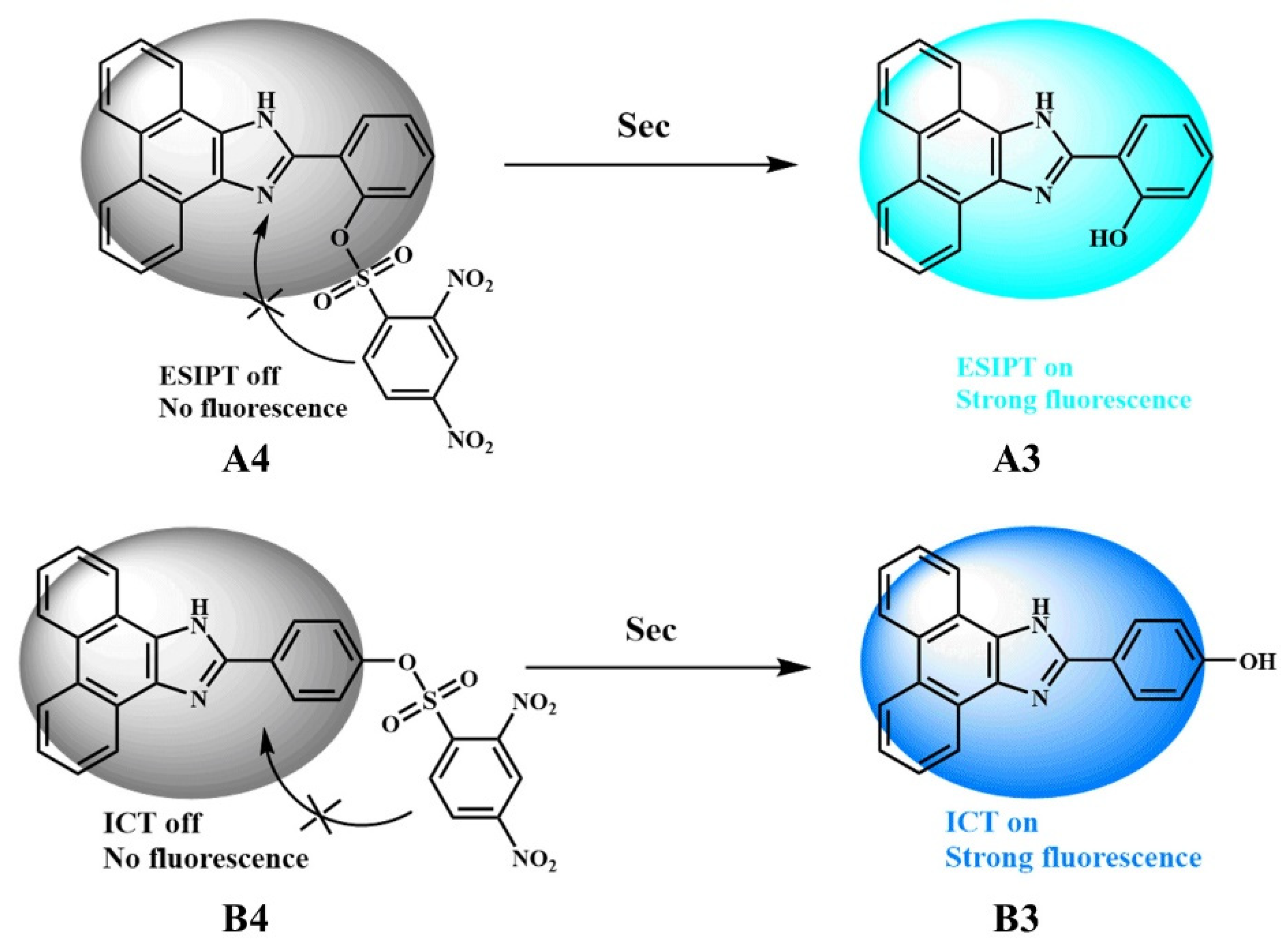Molecules 27 08444 sch001 Molecules 27 08444 sch001