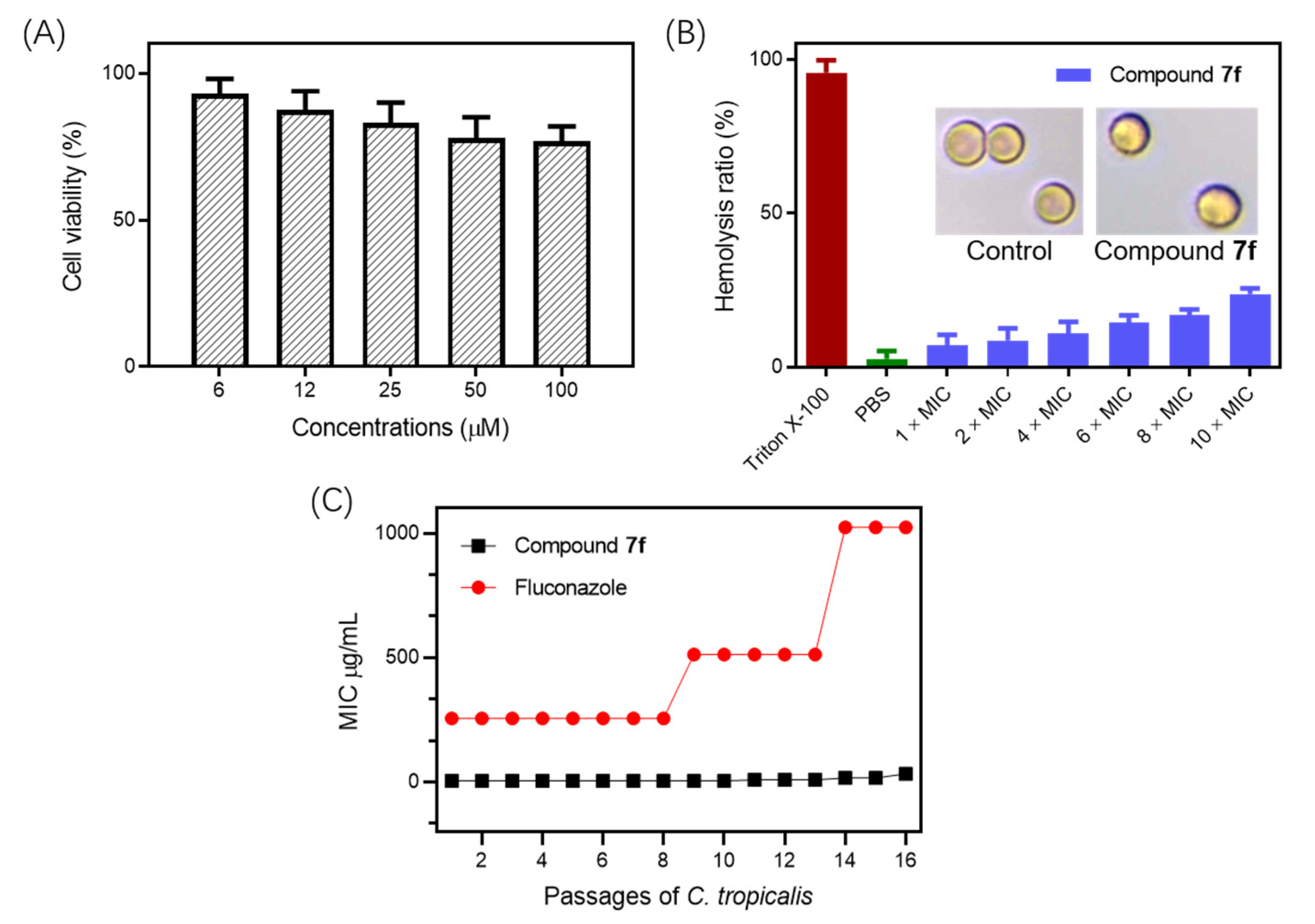 Molecules 27 08453 g004 Molecules 27 08453 g004