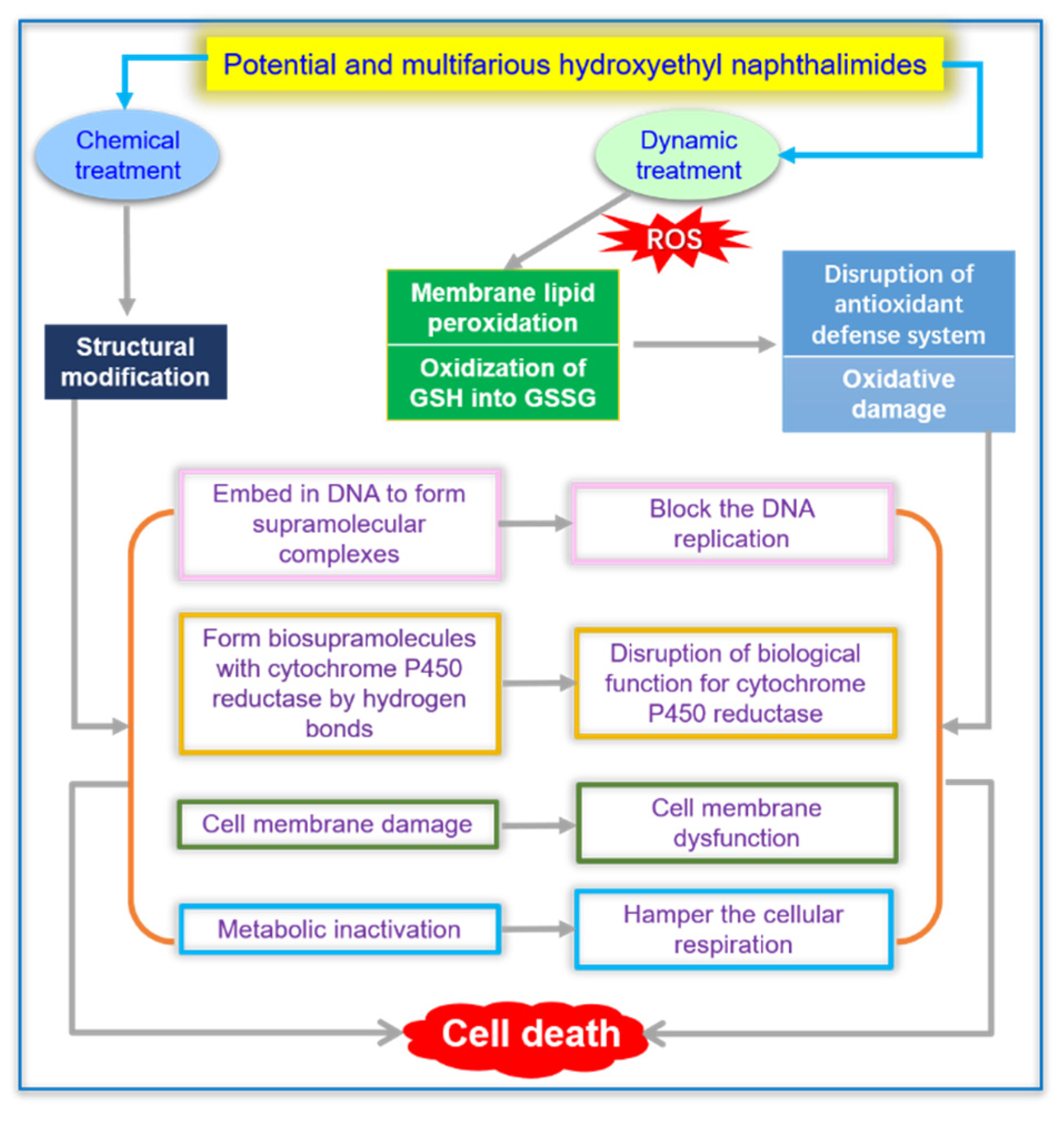 Molecules 27 08453 g010 Molecules 27 08453 g010
