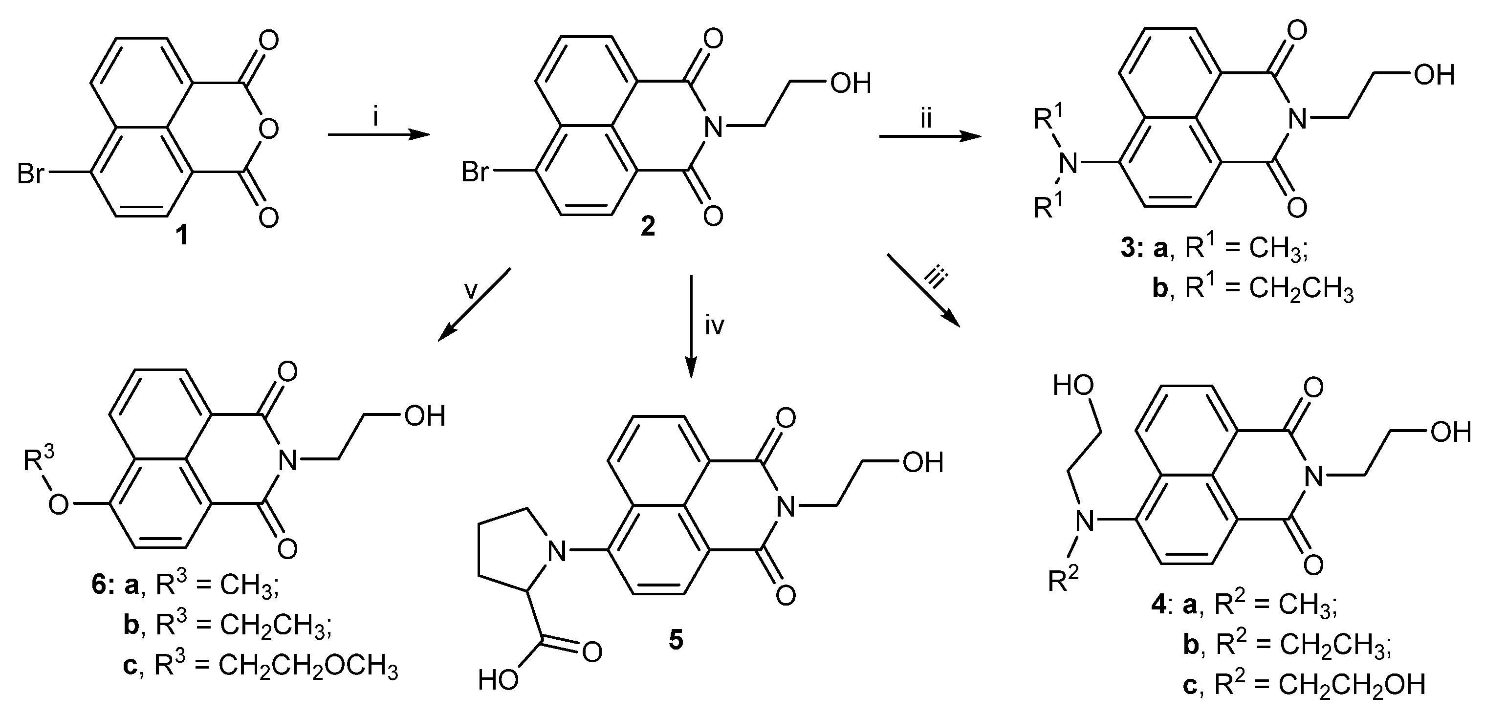 Molecules 27 08453 sch001 Molecules 27 08453 sch001