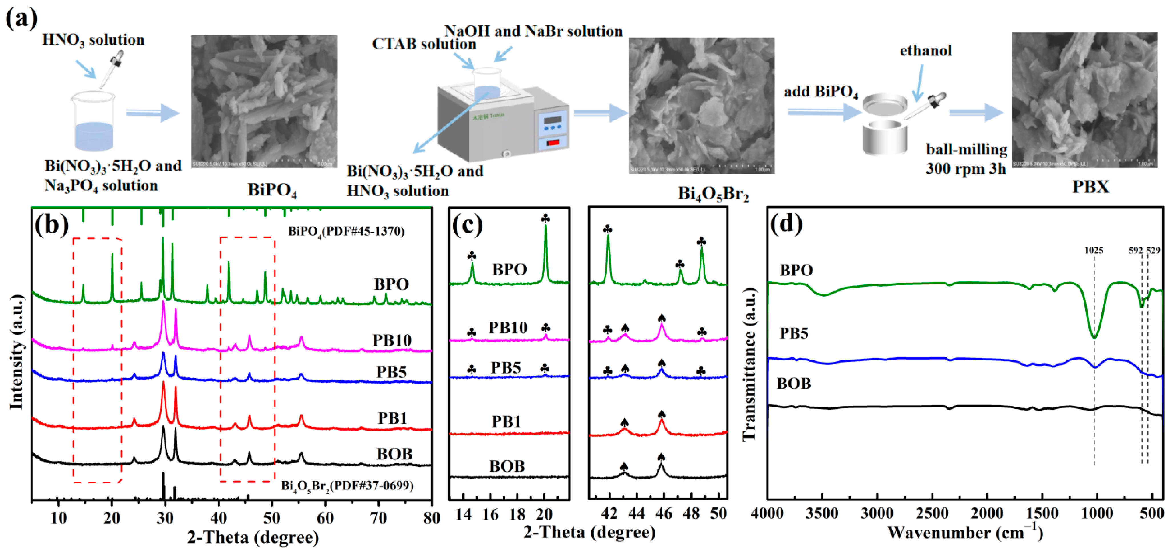 Molecules 27 08474 g001