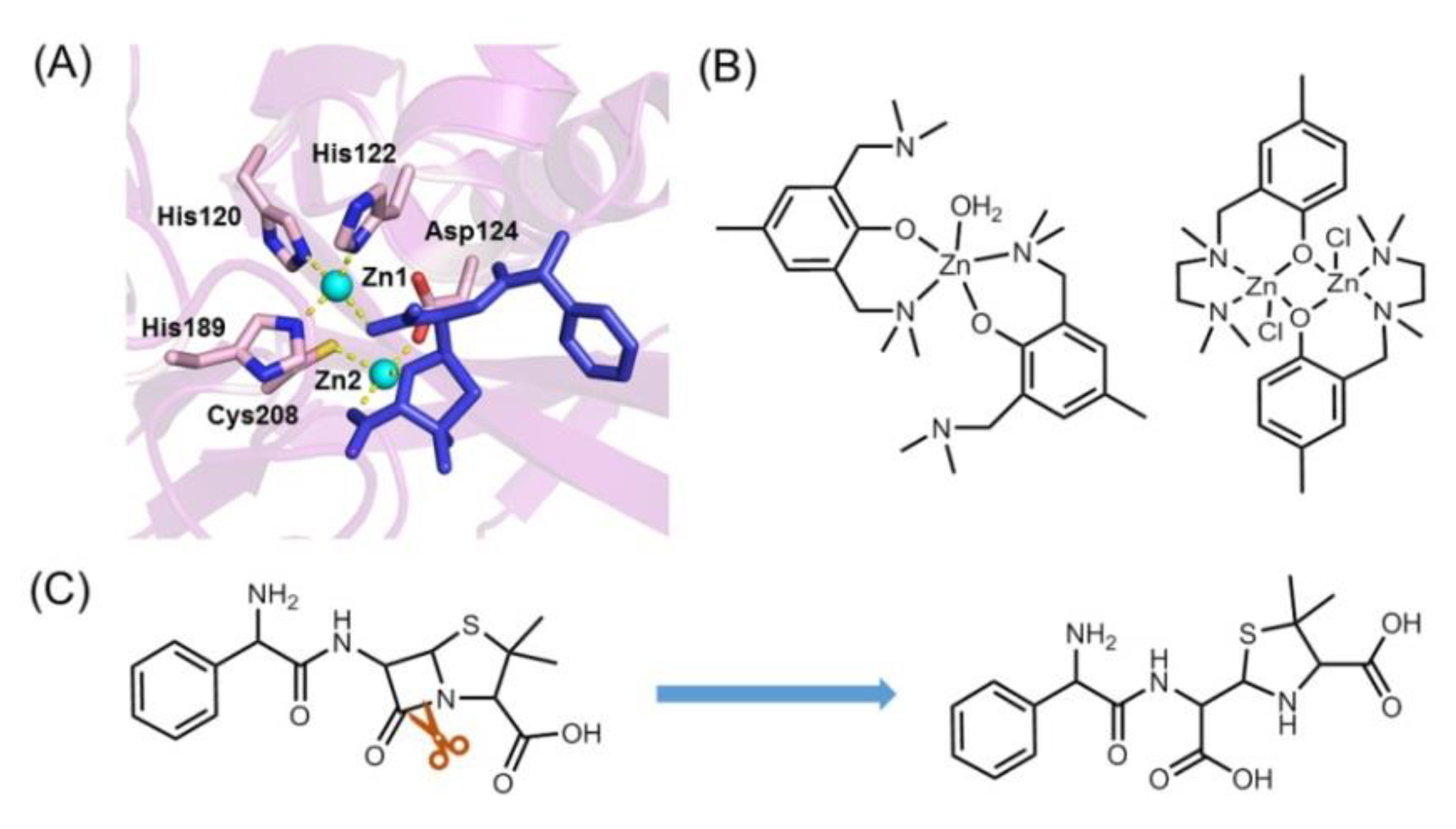 Molecules 27 08478 g001