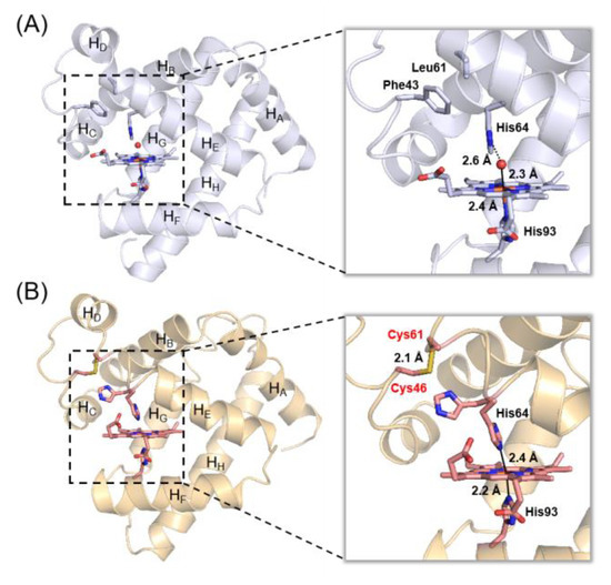 Molecules 27 08478 g002