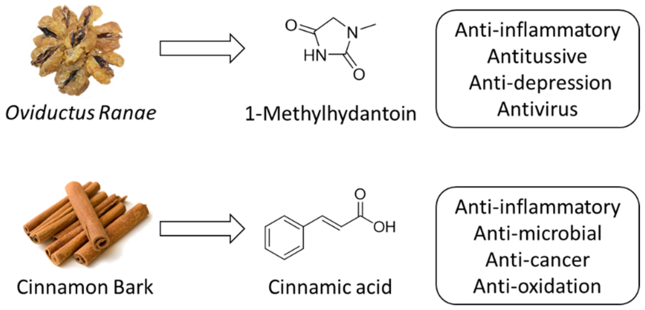 Molecules 27 08481 g001