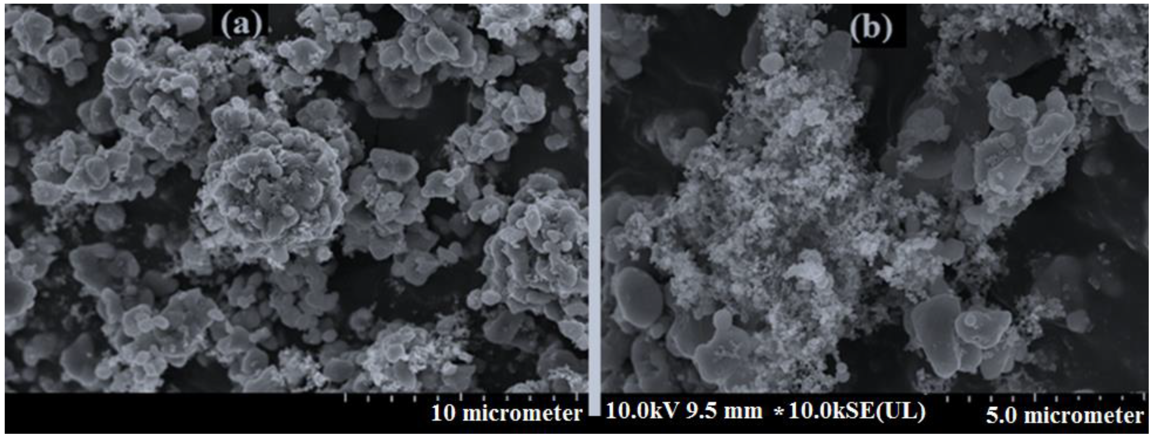 Molecules 27 08486 g001