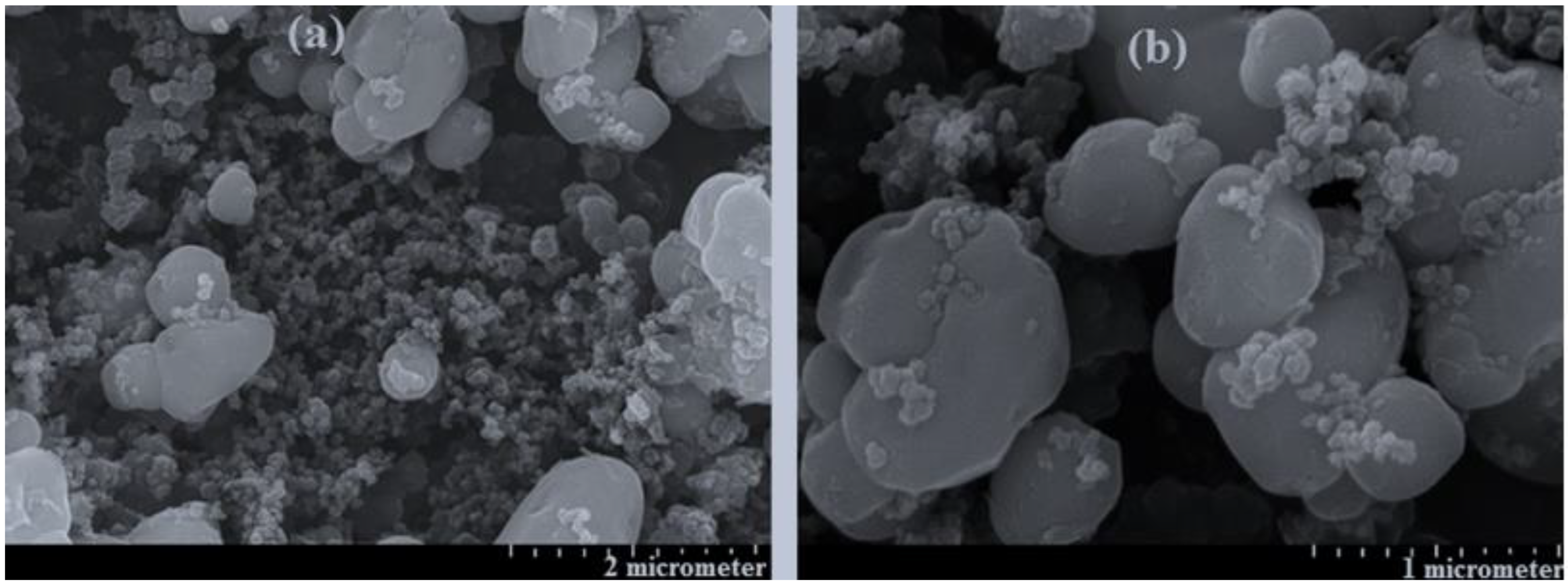 Molecules 27 08486 g002