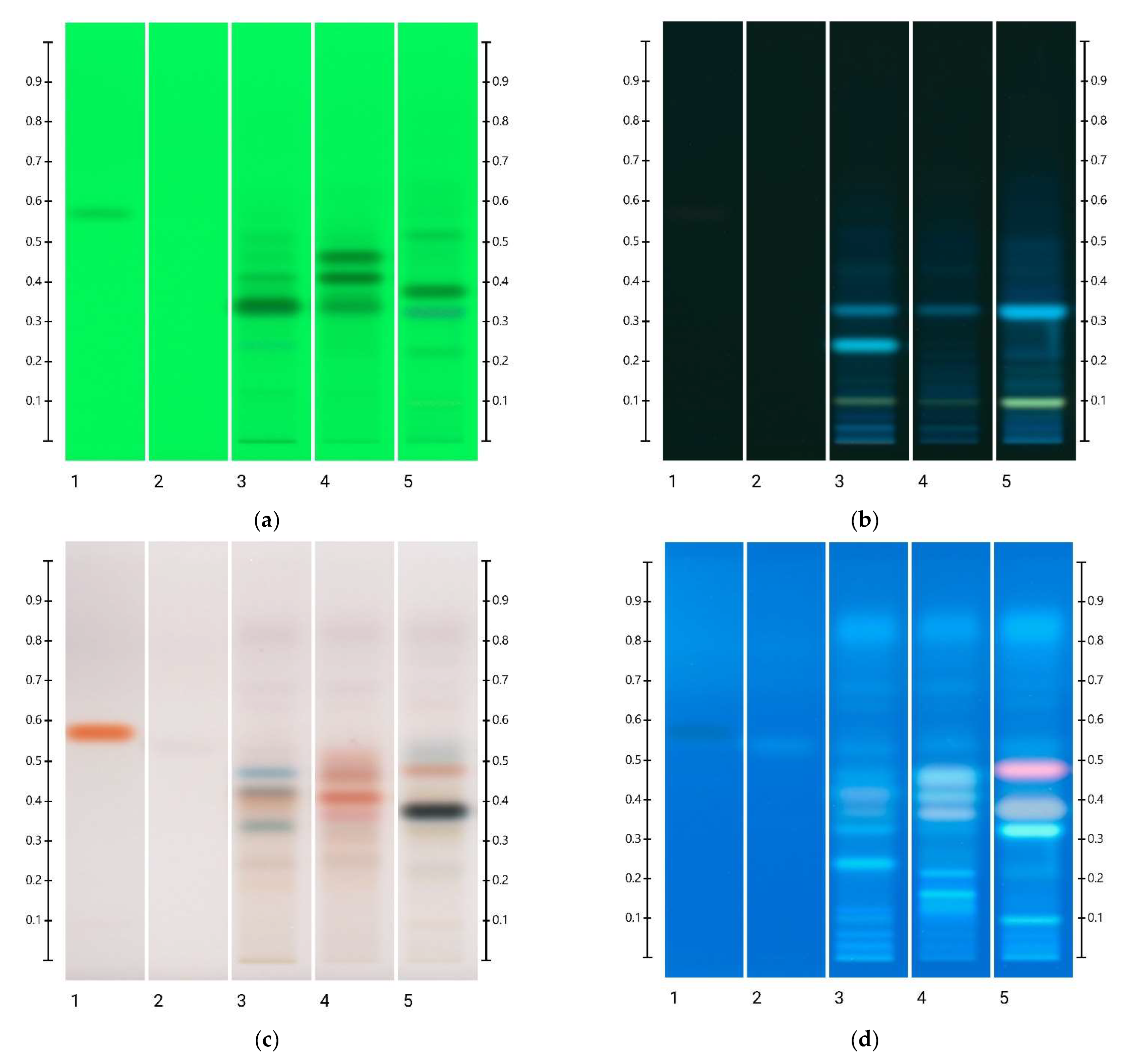 Molecules 27 08491 g001