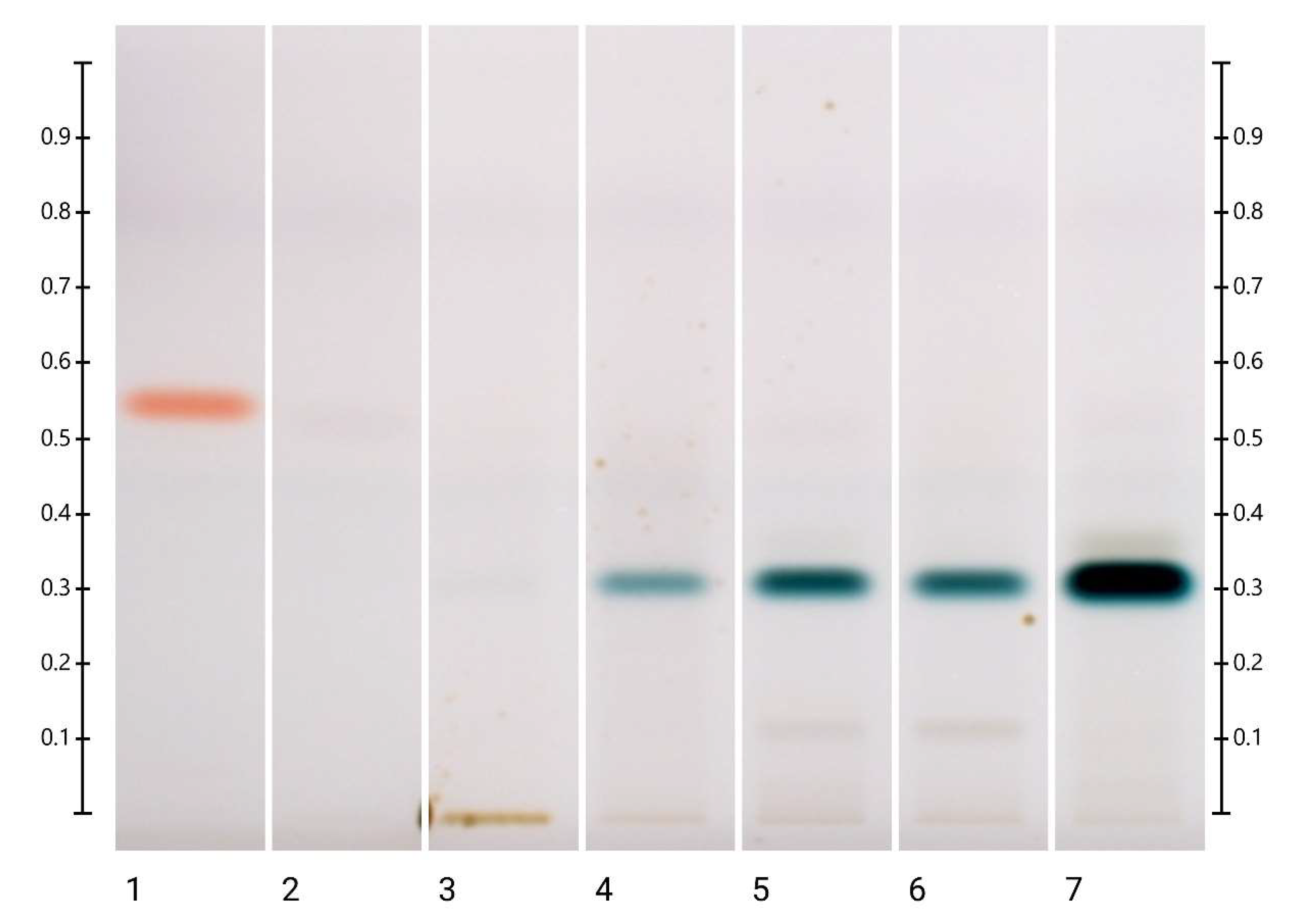 Molecules 27 08491 g002