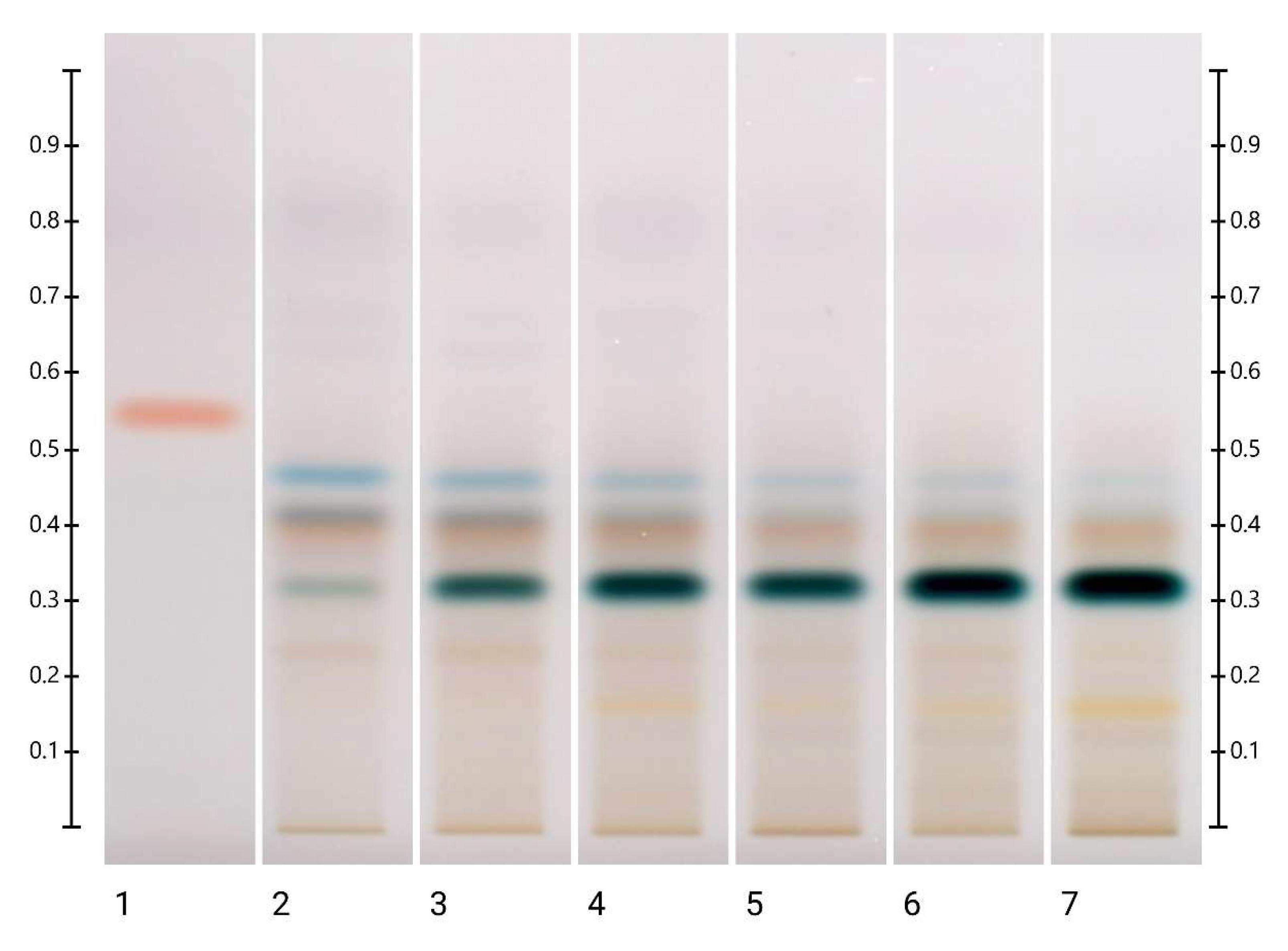 Molecules 27 08491 g003