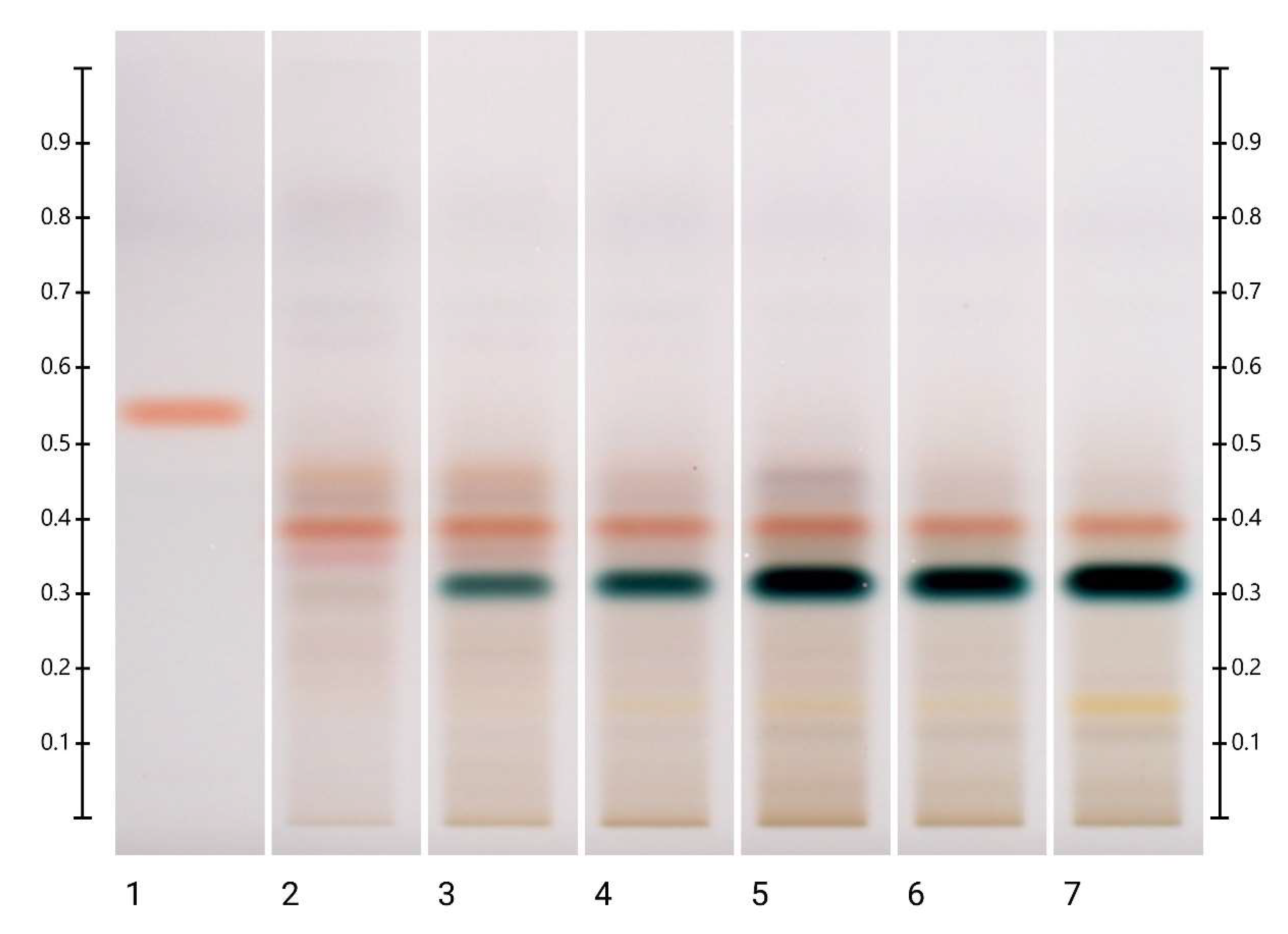 Molecules 27 08491 g004