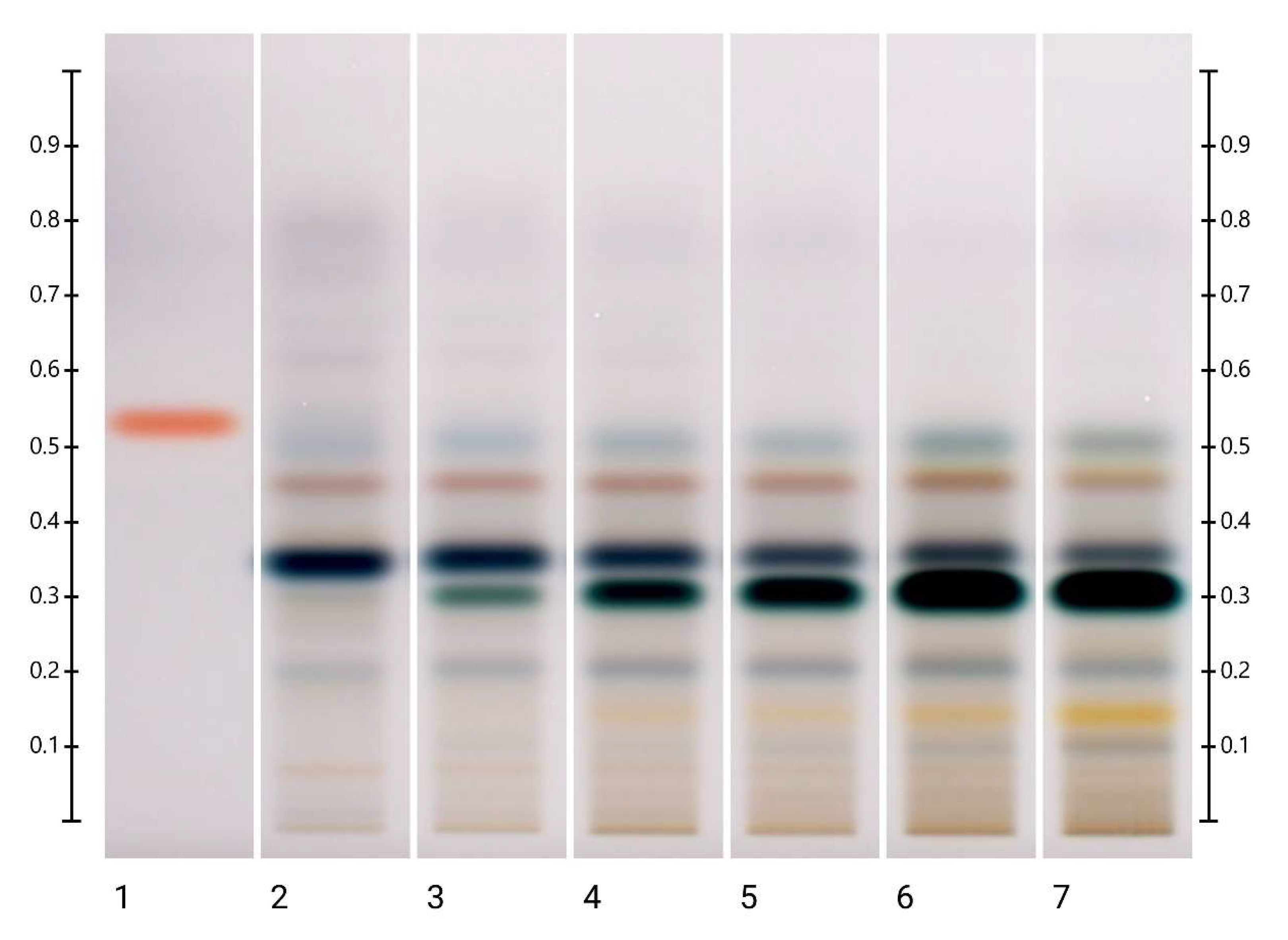Molecules 27 08491 g005