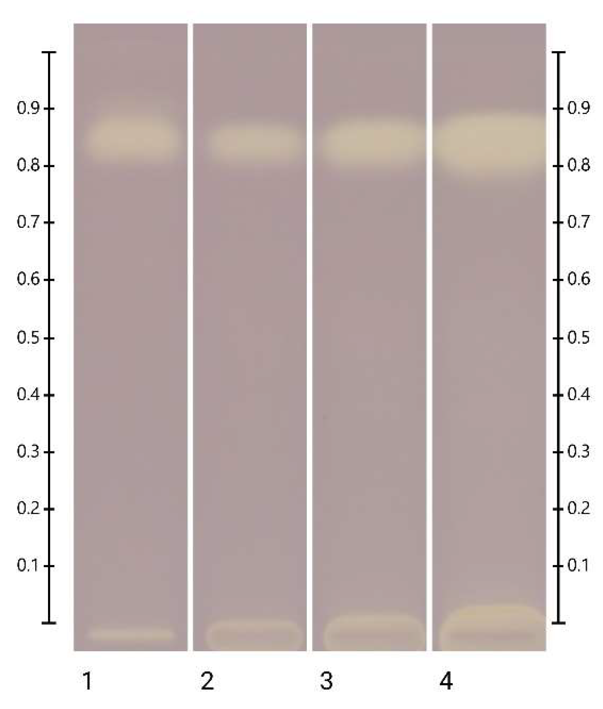 Molecules 27 08491 g007