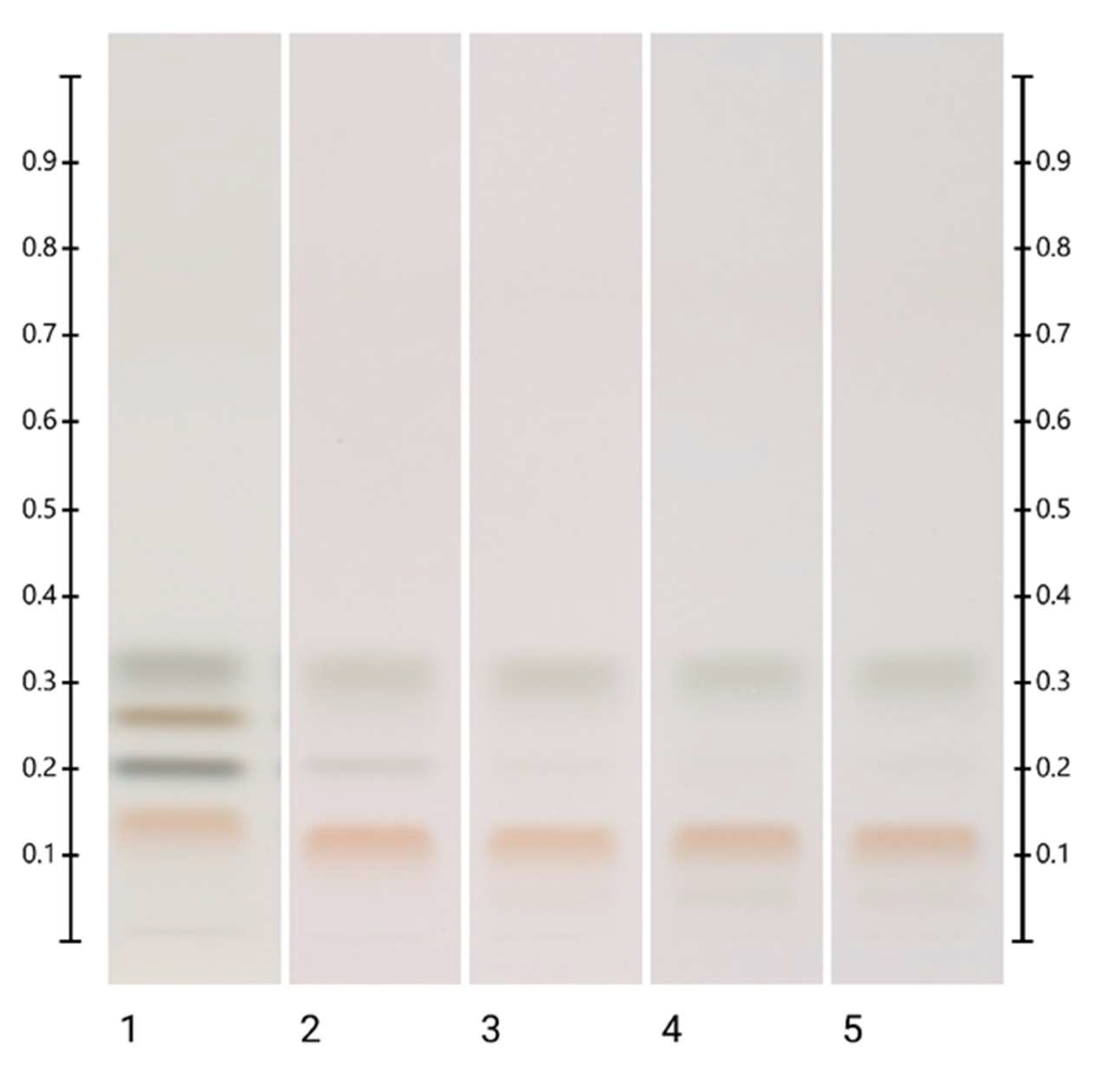 Molecules 27 08491 g012