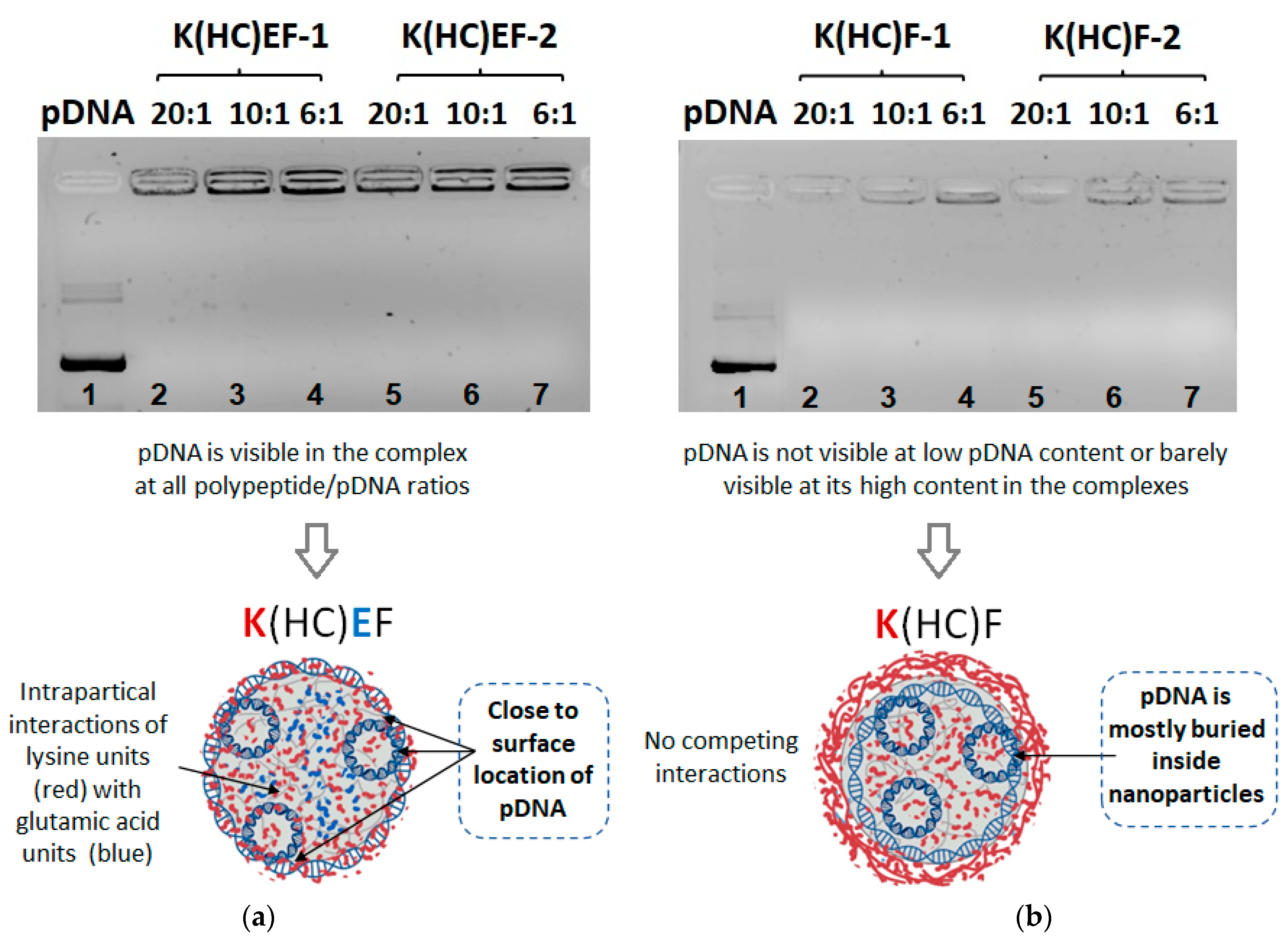 Molecules 27 08495 g006