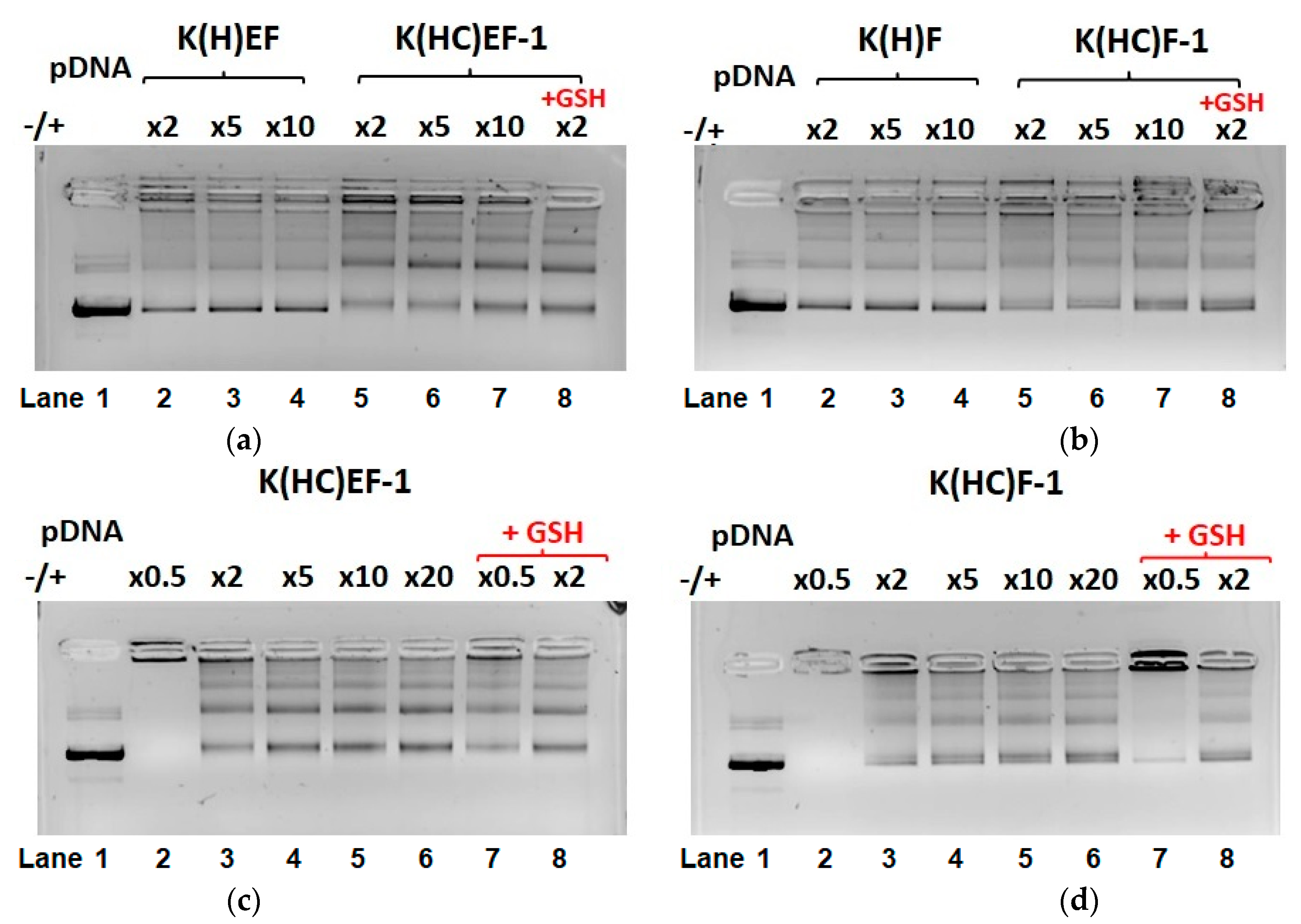 Molecules 27 08495 g008