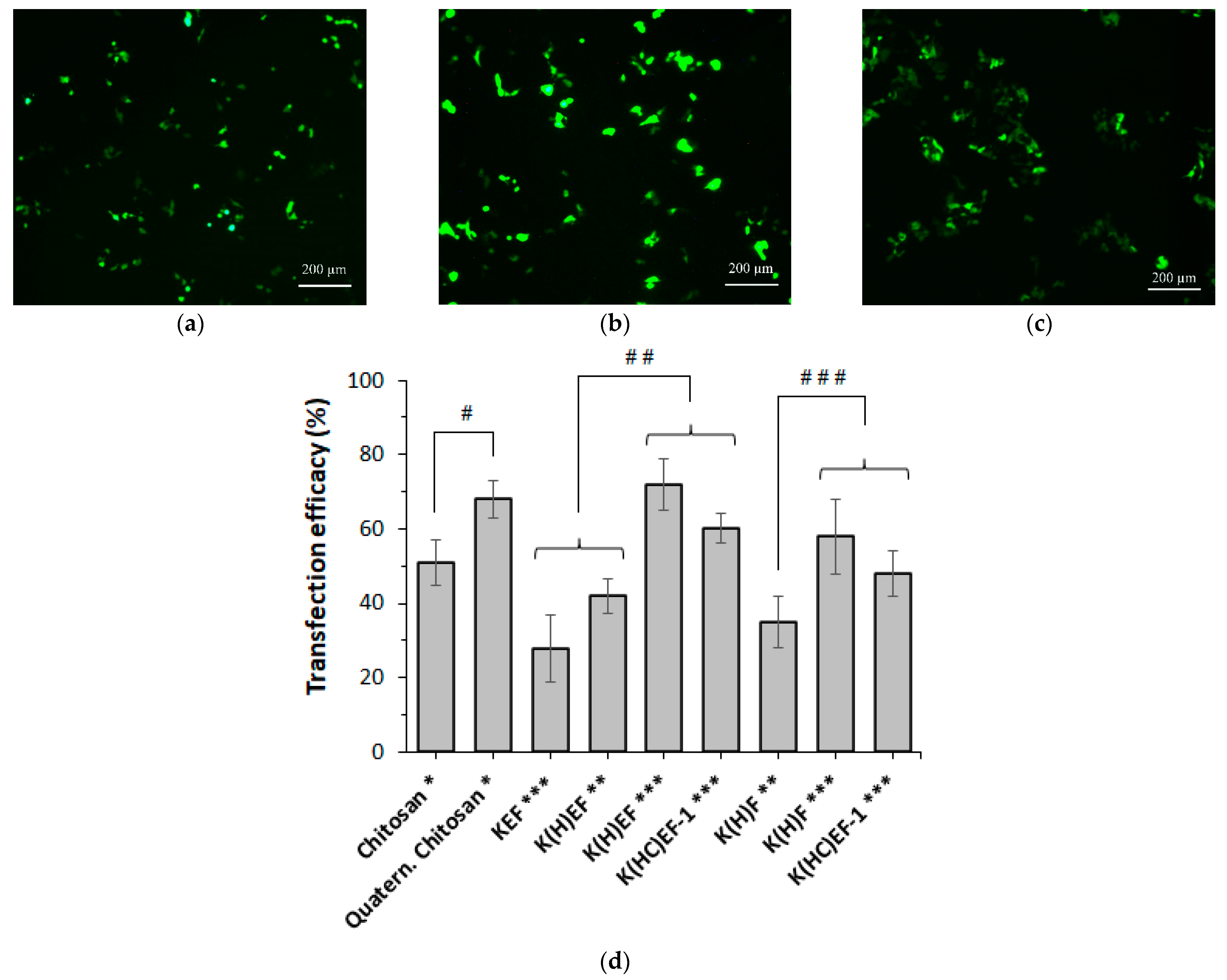 Molecules 27 08495 g010