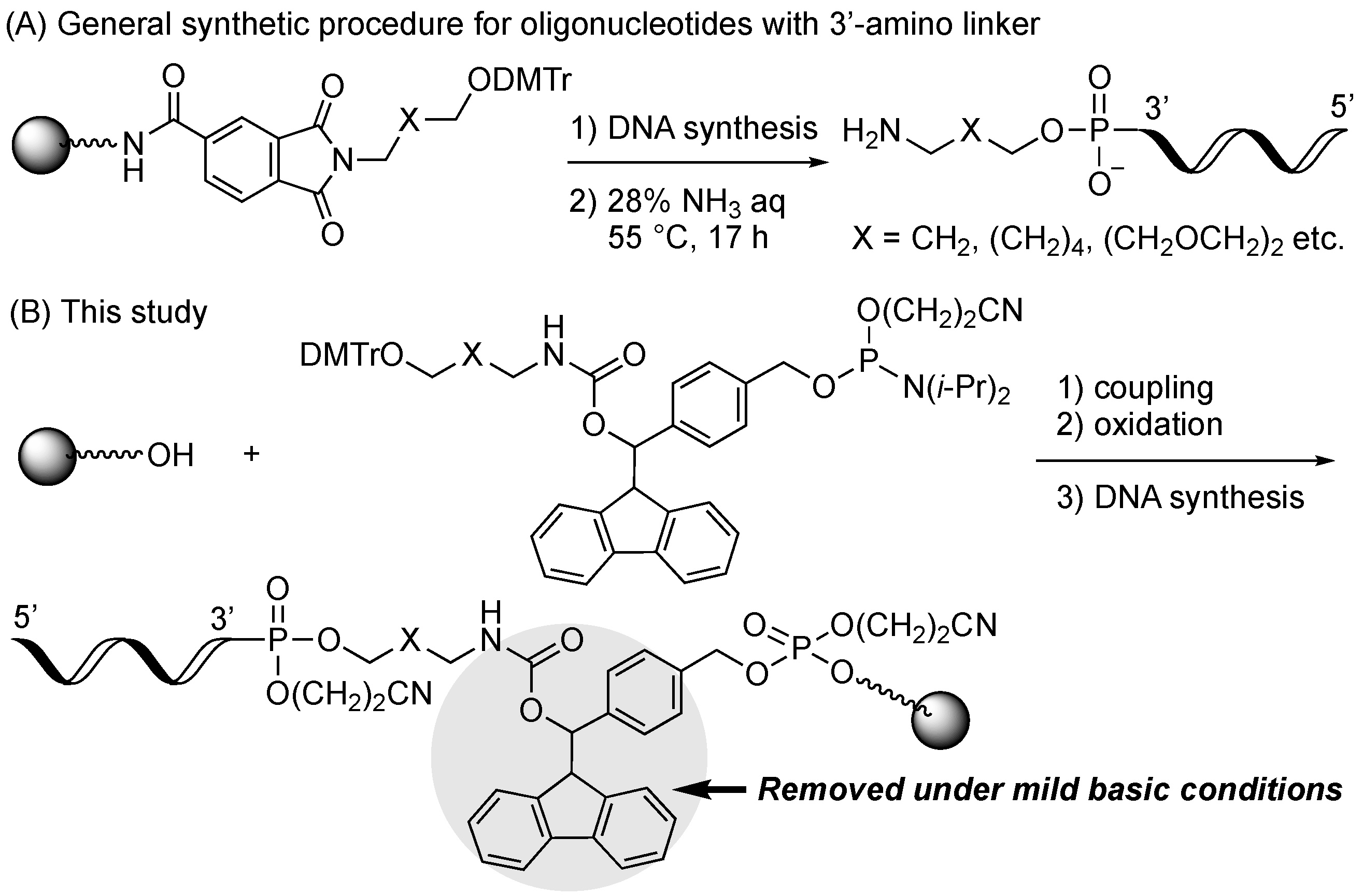 Molecules 27 08501 g001 Molecules 27 08501 g001