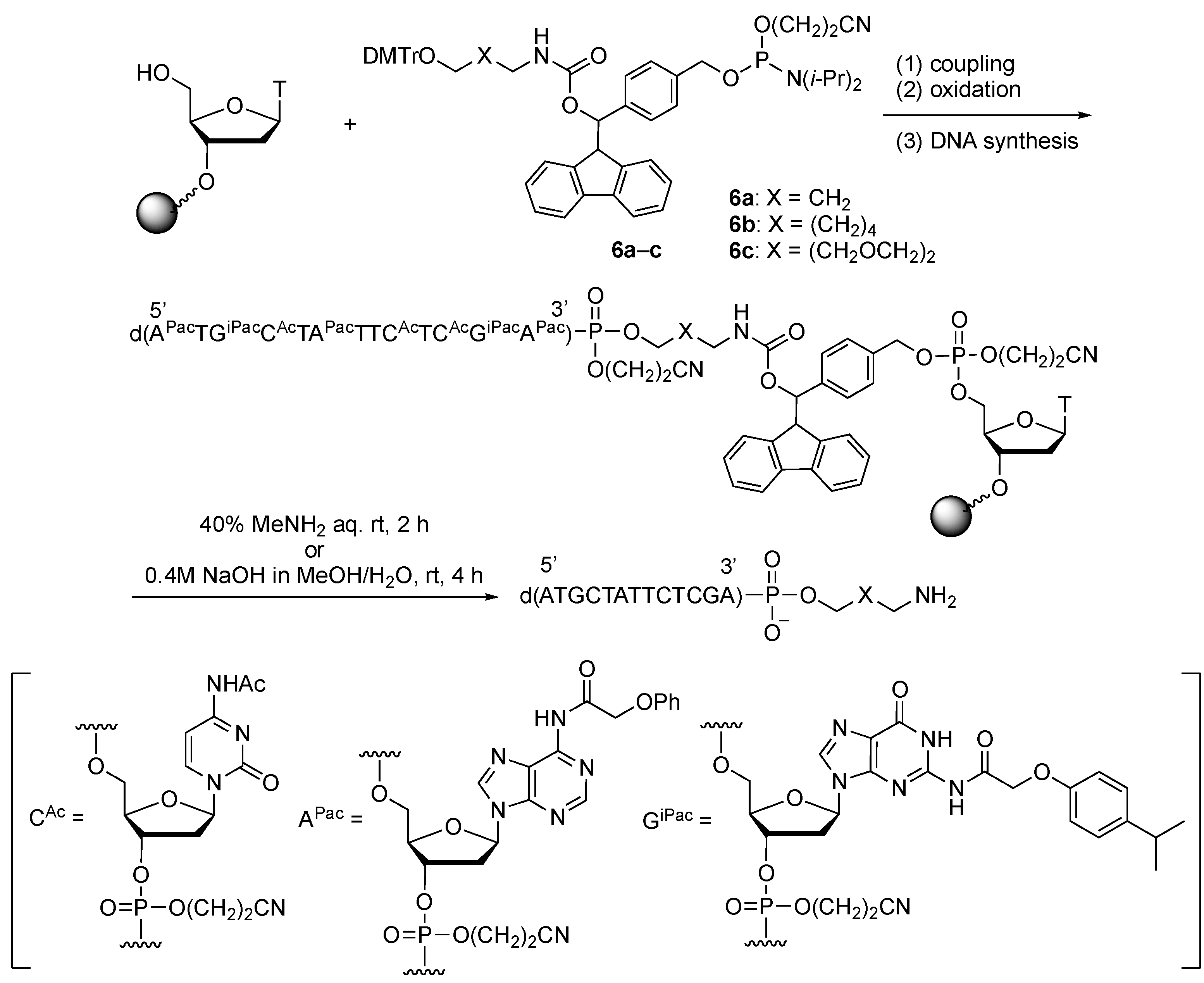Molecules 27 08501 sch004 Molecules 27 08501 sch004