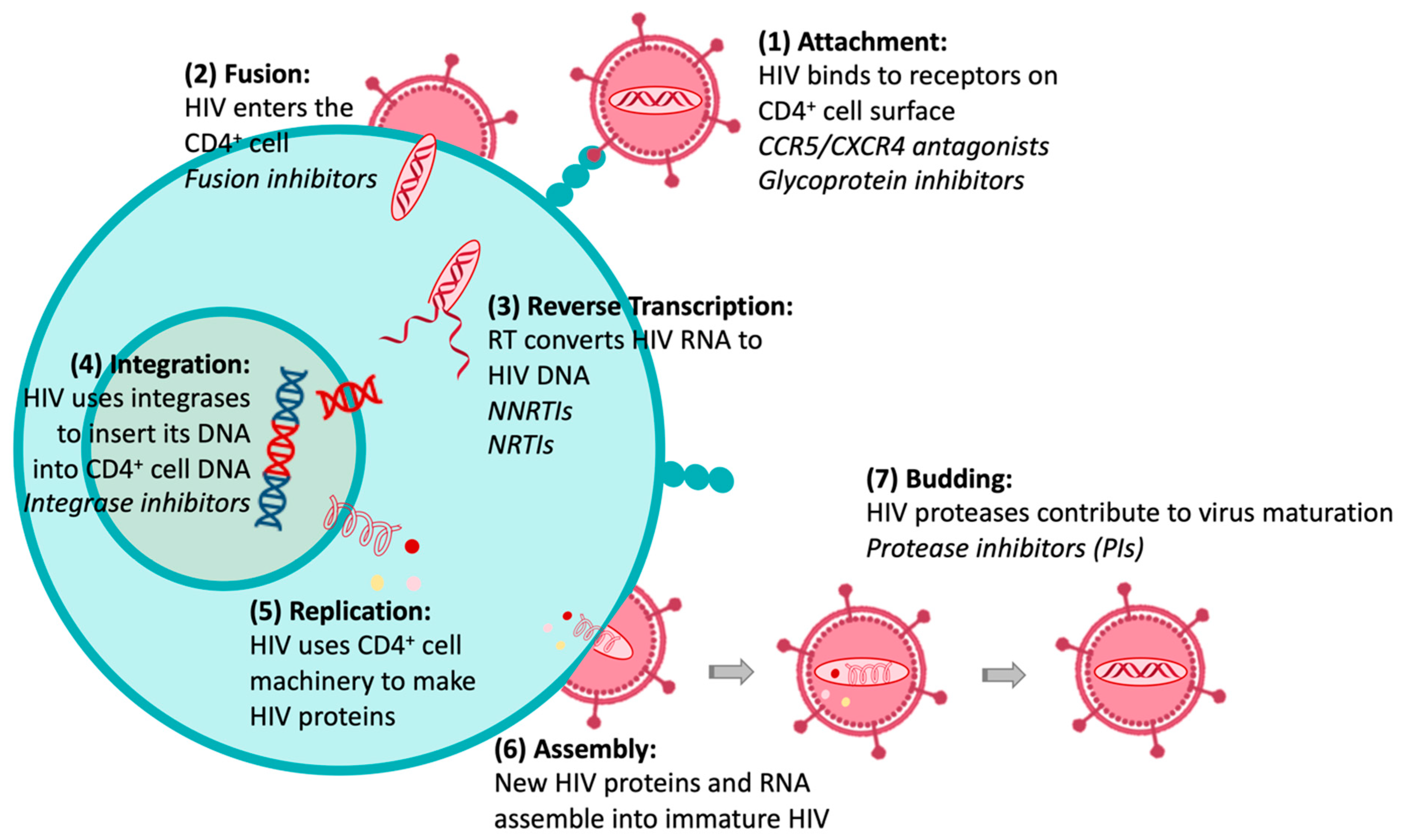 Molecules 27 08502 g002