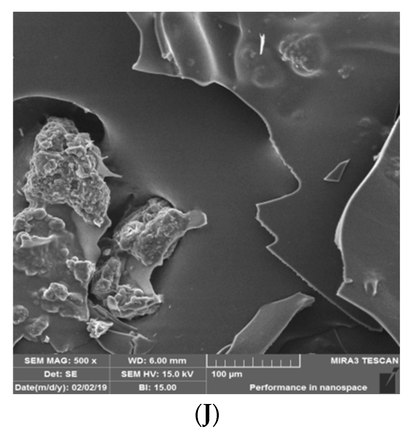 Molecules 27 08509 g002b
