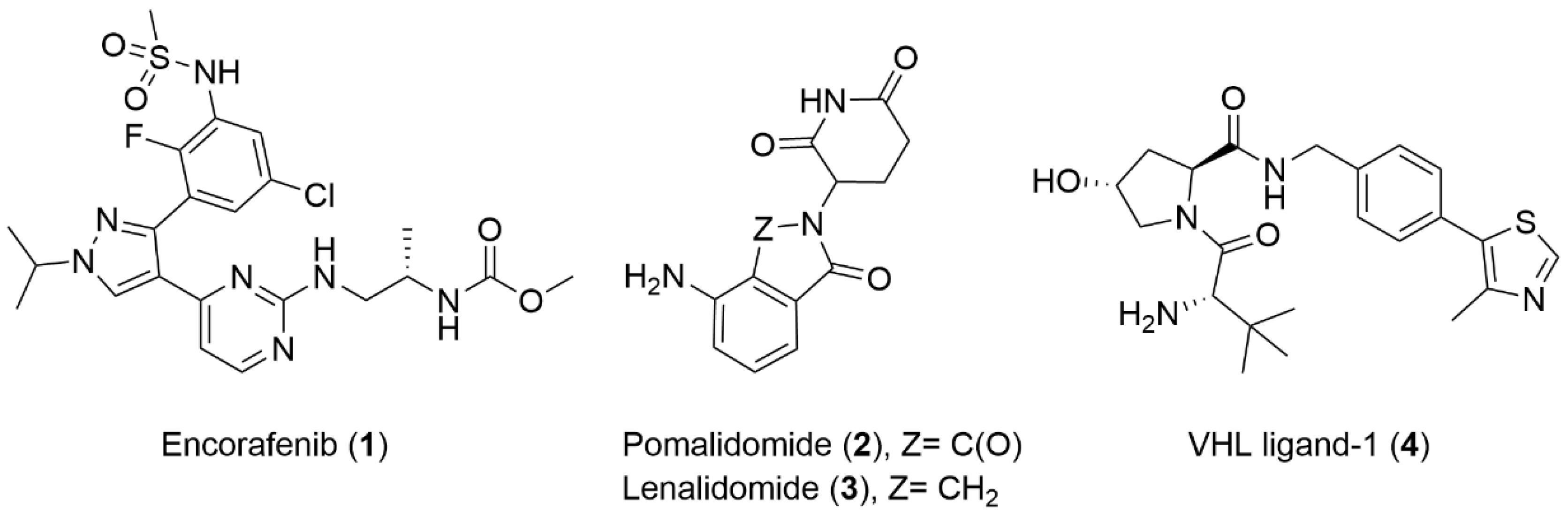 Molecules 27 08513 g001