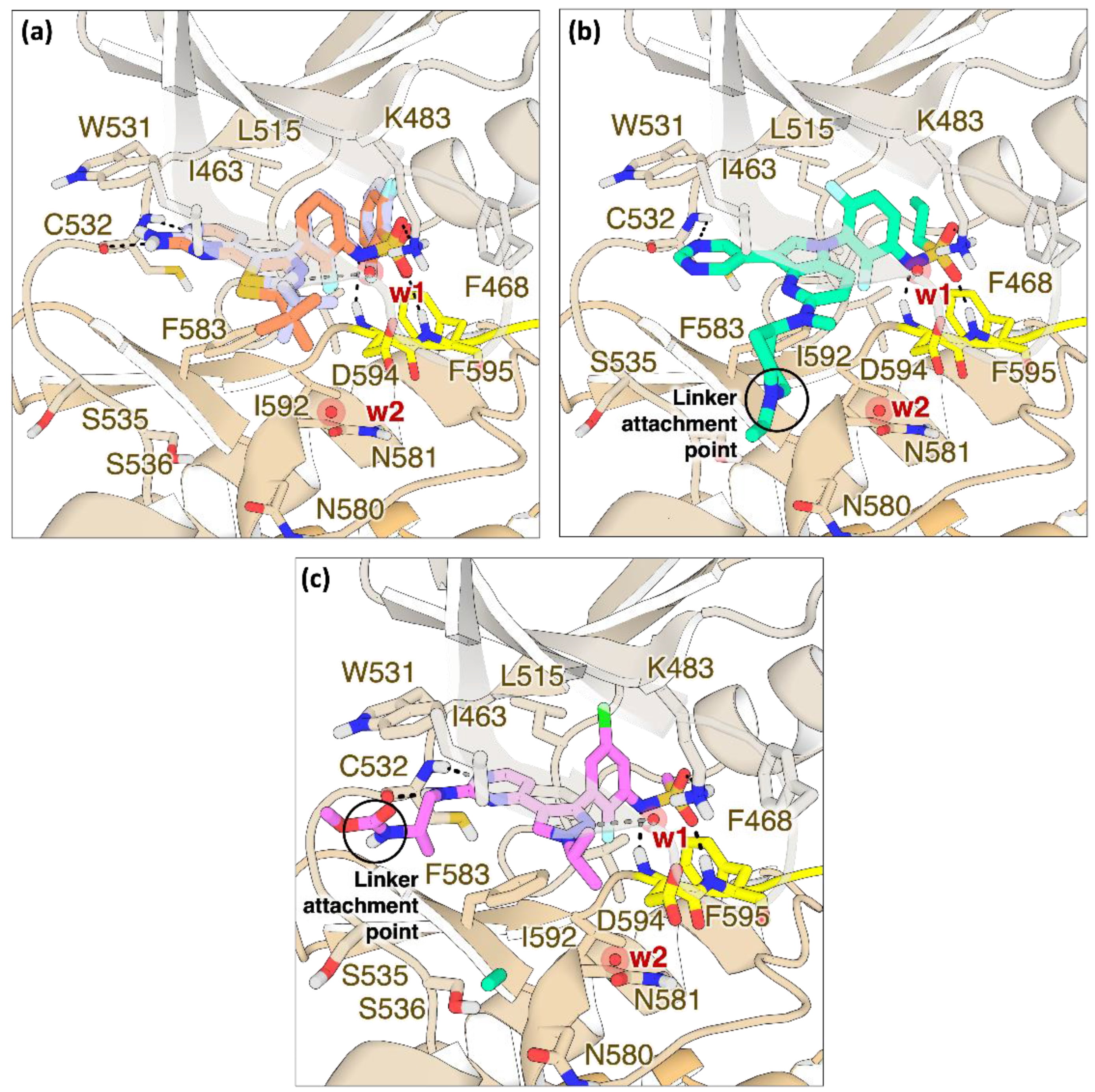 Molecules 27 08513 g008