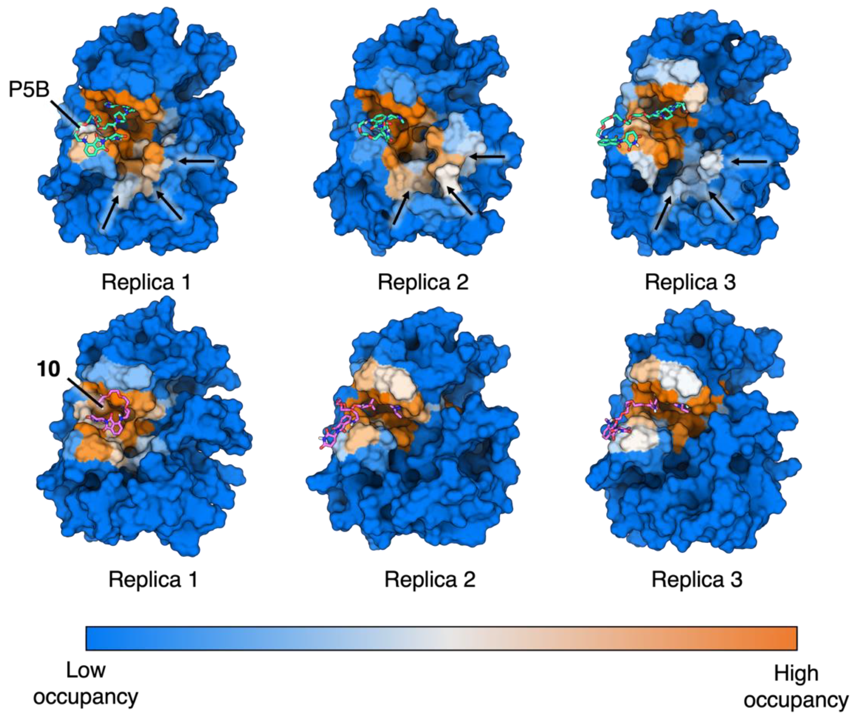 Molecules 27 08513 g009