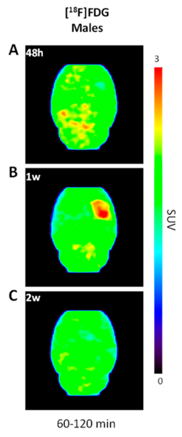 Molecules 27 08529 g004 Molecules 27 08529 g004