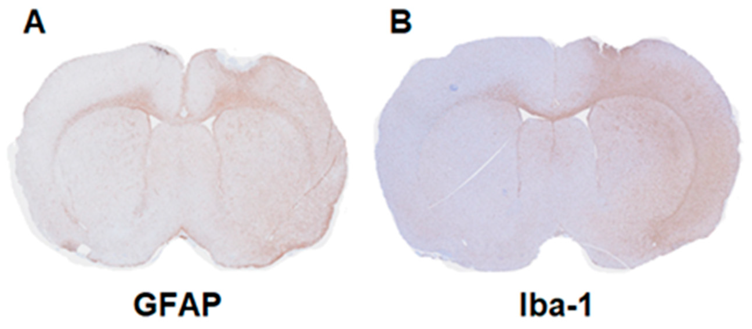 Molecules 27 08529 g006 Molecules 27 08529 g006