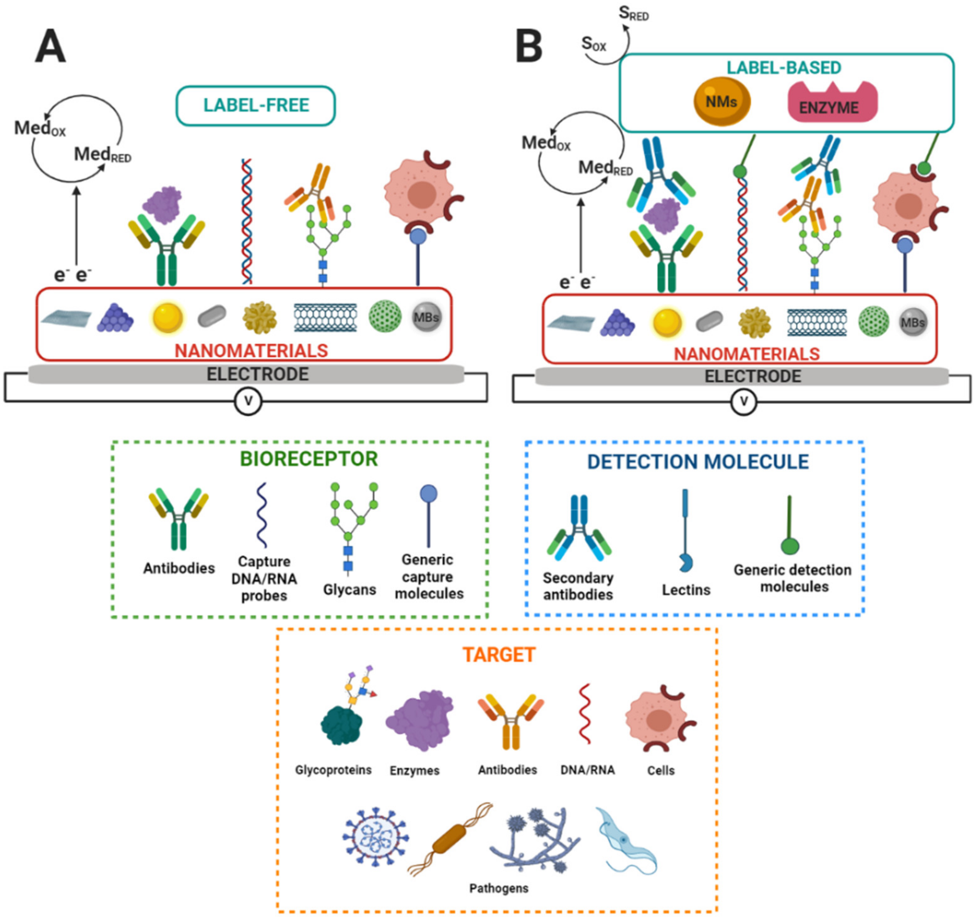 Molecules 27 08533 g002