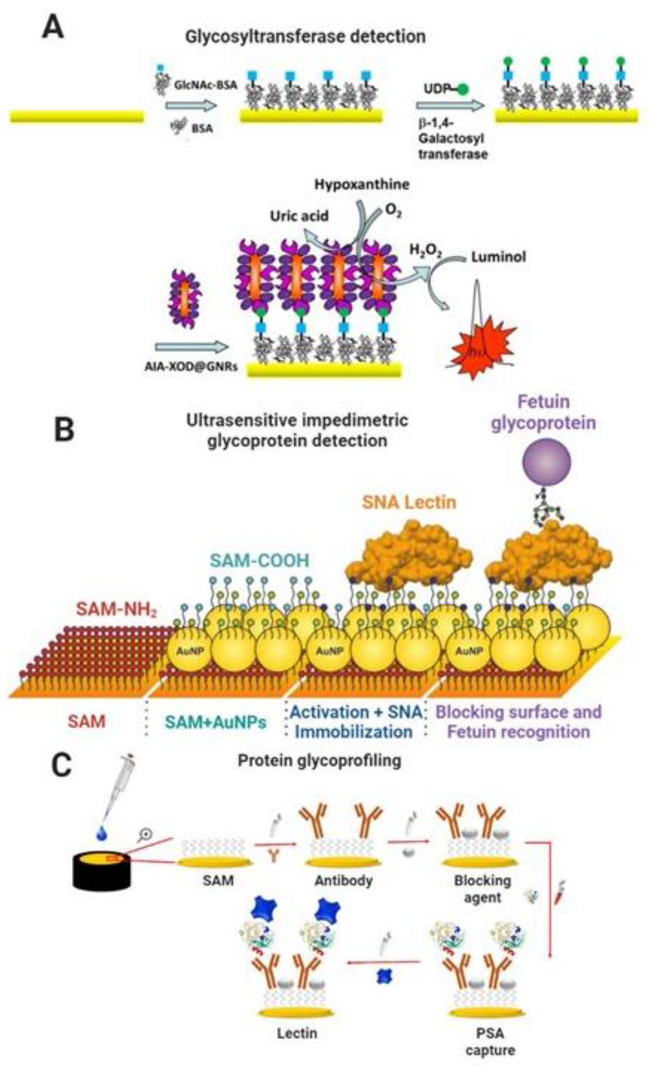 Molecules 27 08533 g005