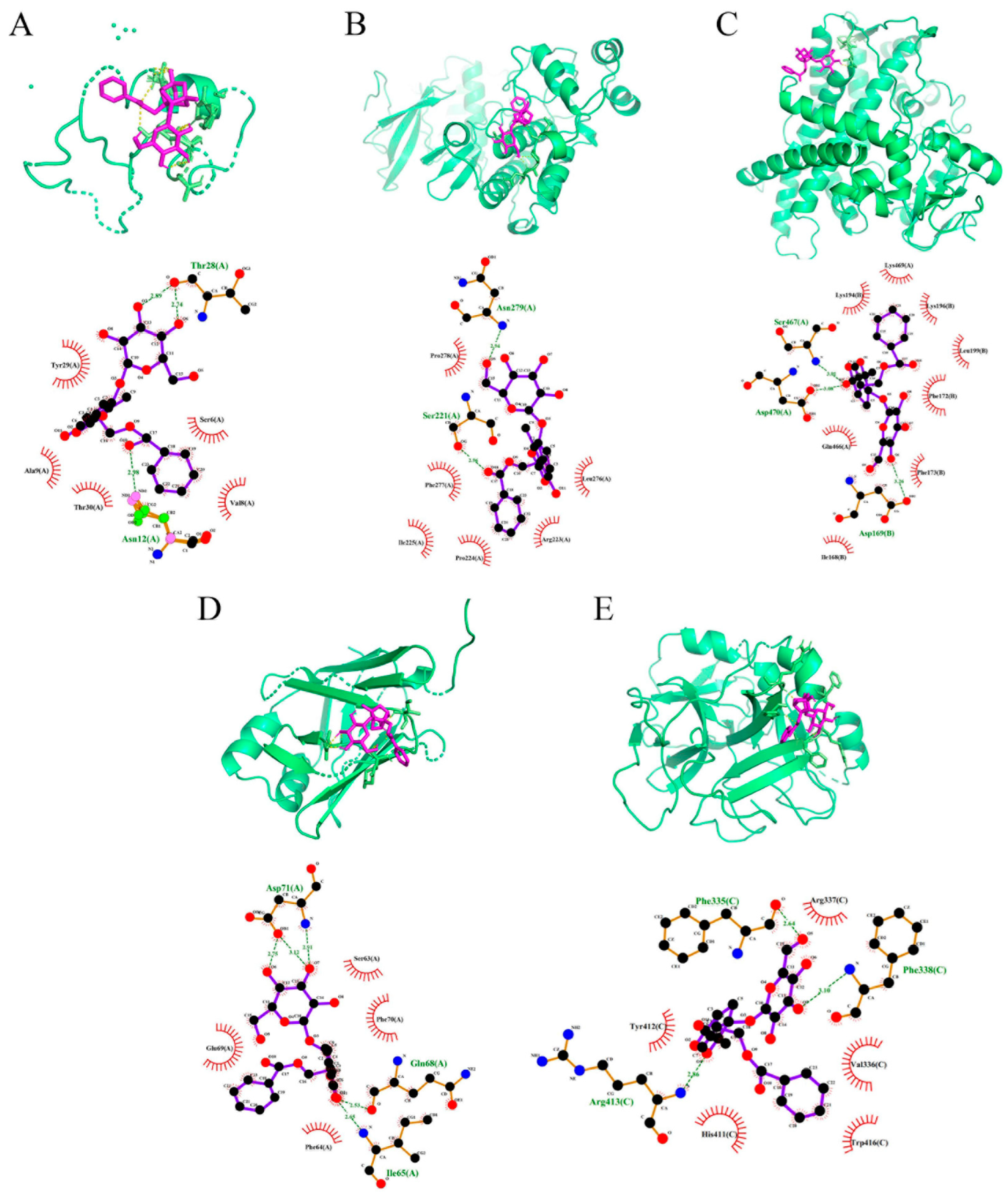 Molecules 27 08534 g006