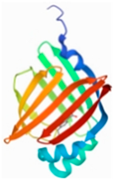 Molecules 27 08534 i004