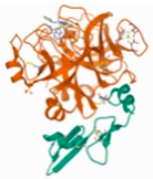 Molecules 27 08534 i005