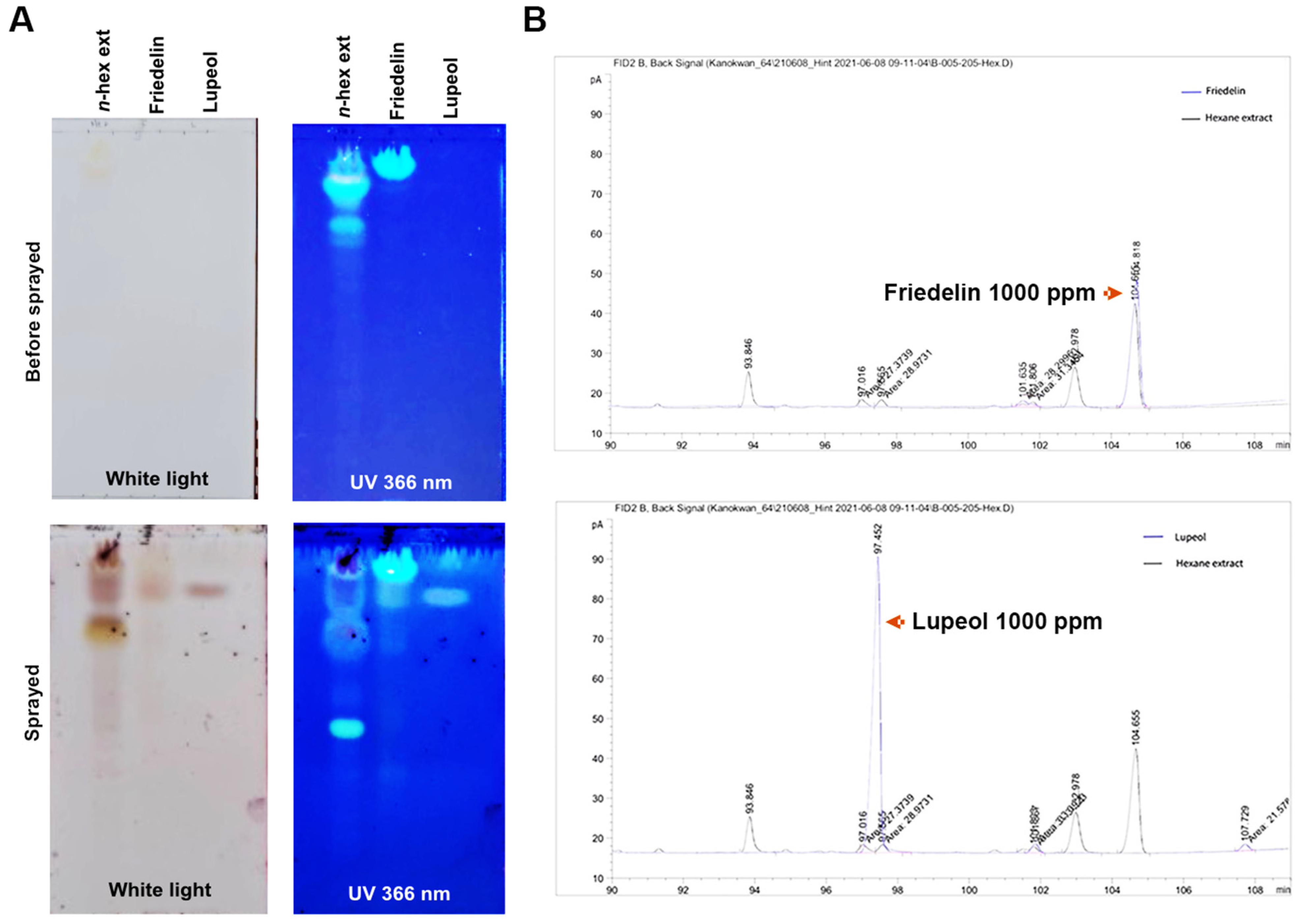 Molecules 27 08540 g002 Molecules 27 08540 g002
