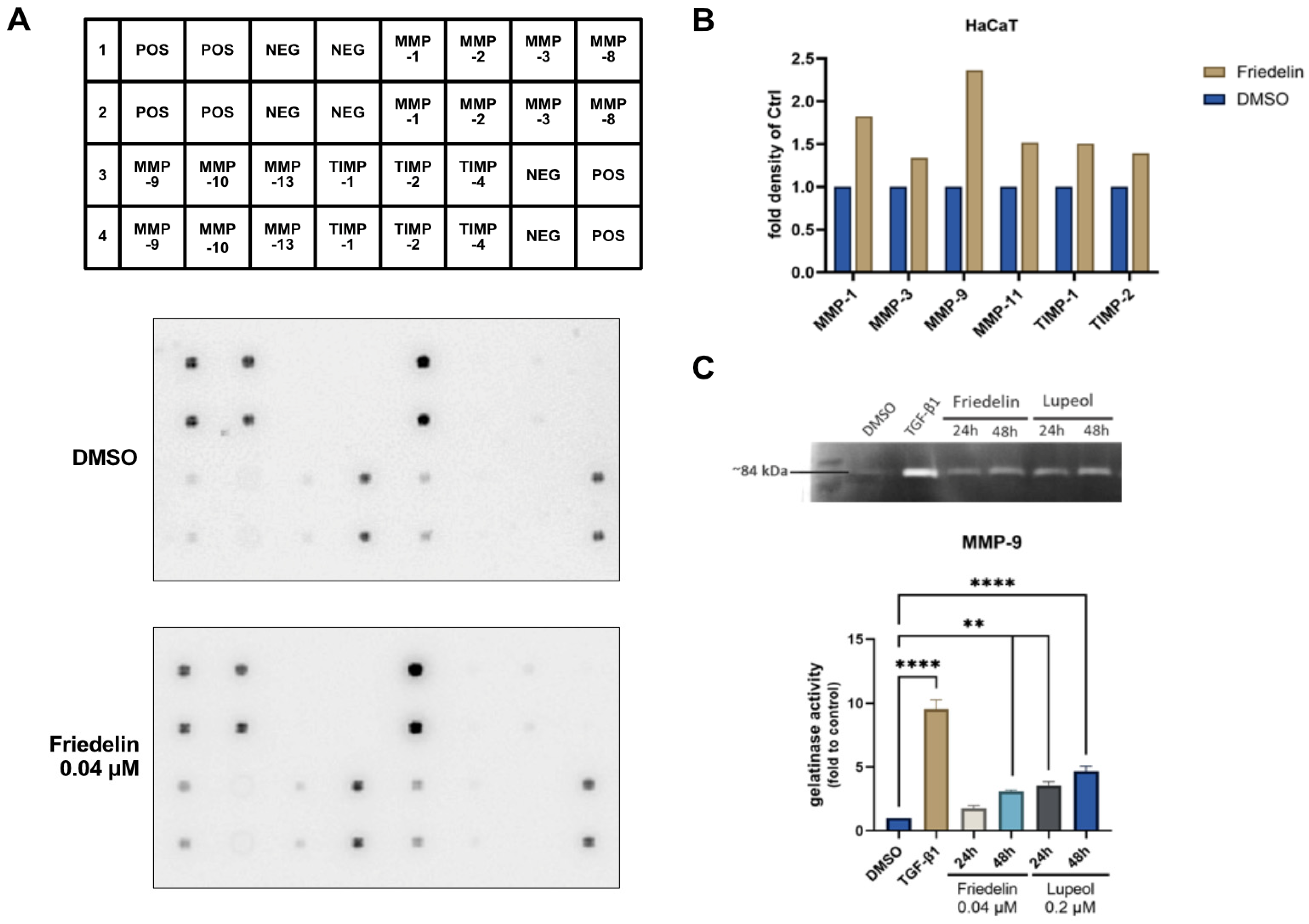 Molecules 27 08540 g004 Molecules 27 08540 g004