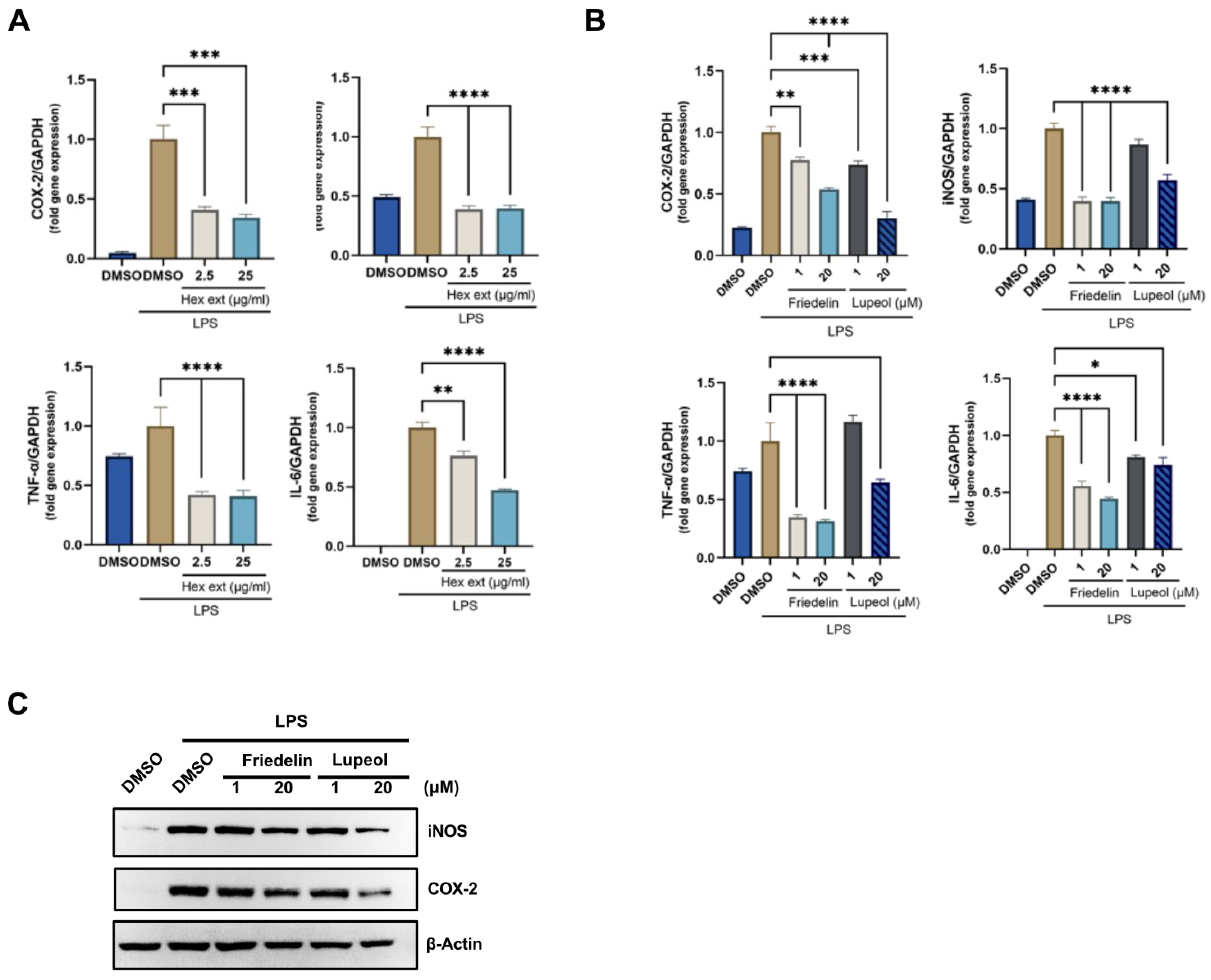 Molecules 27 08540 g006 Molecules 27 08540 g006