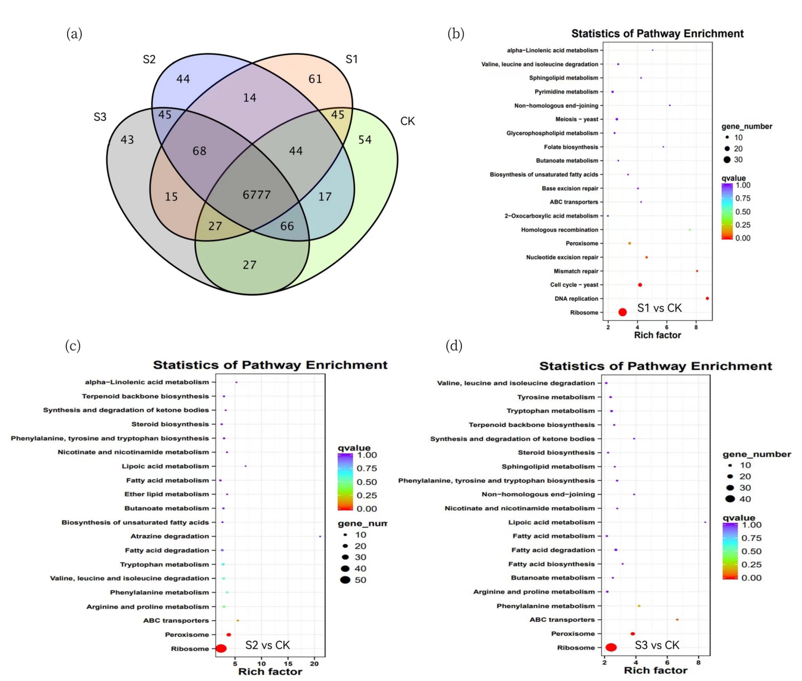Molecules 27 08541 g006 Molecules 27 08541 g006
