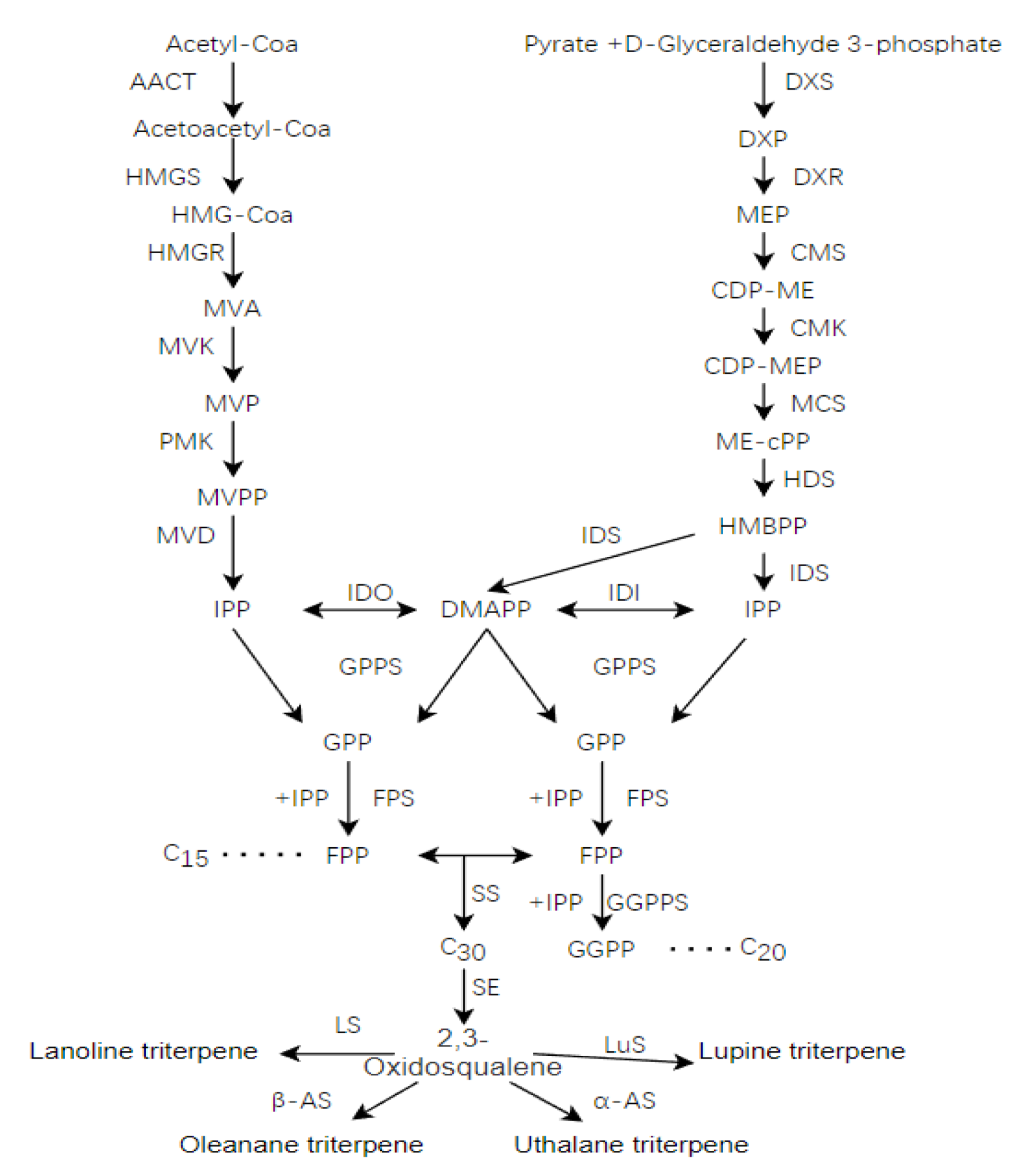 Molecules 27 08541 g008 Molecules 27 08541 g008