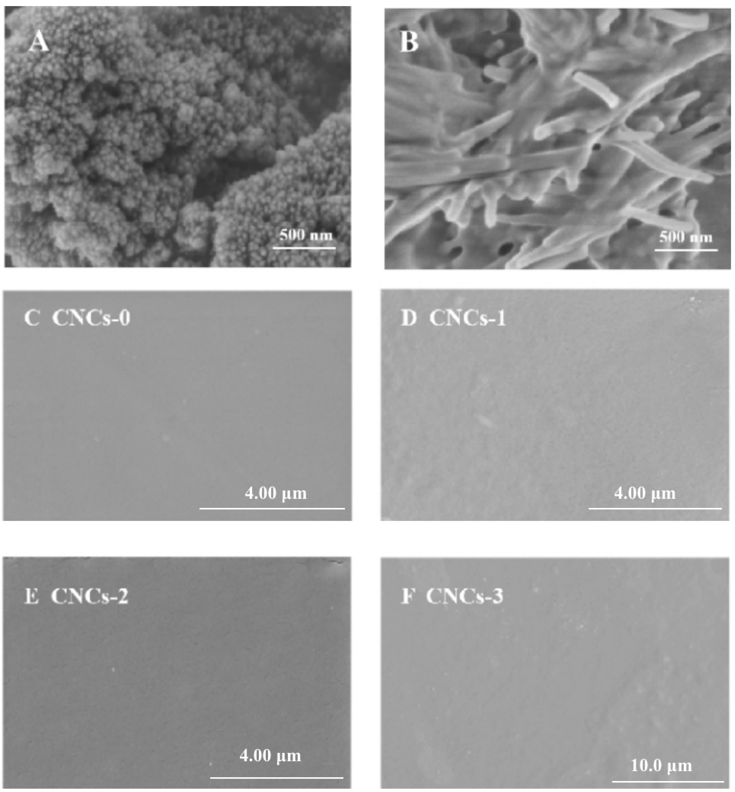 Molecules 27 08542 g003