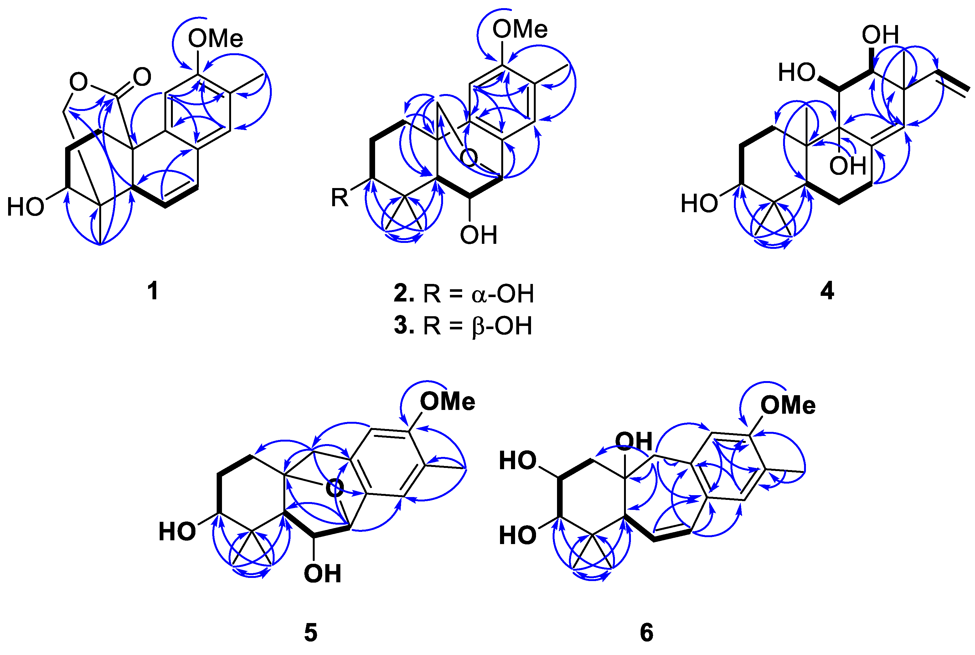 Molecules 27 08548 g002 Molecules 27 08548 g002