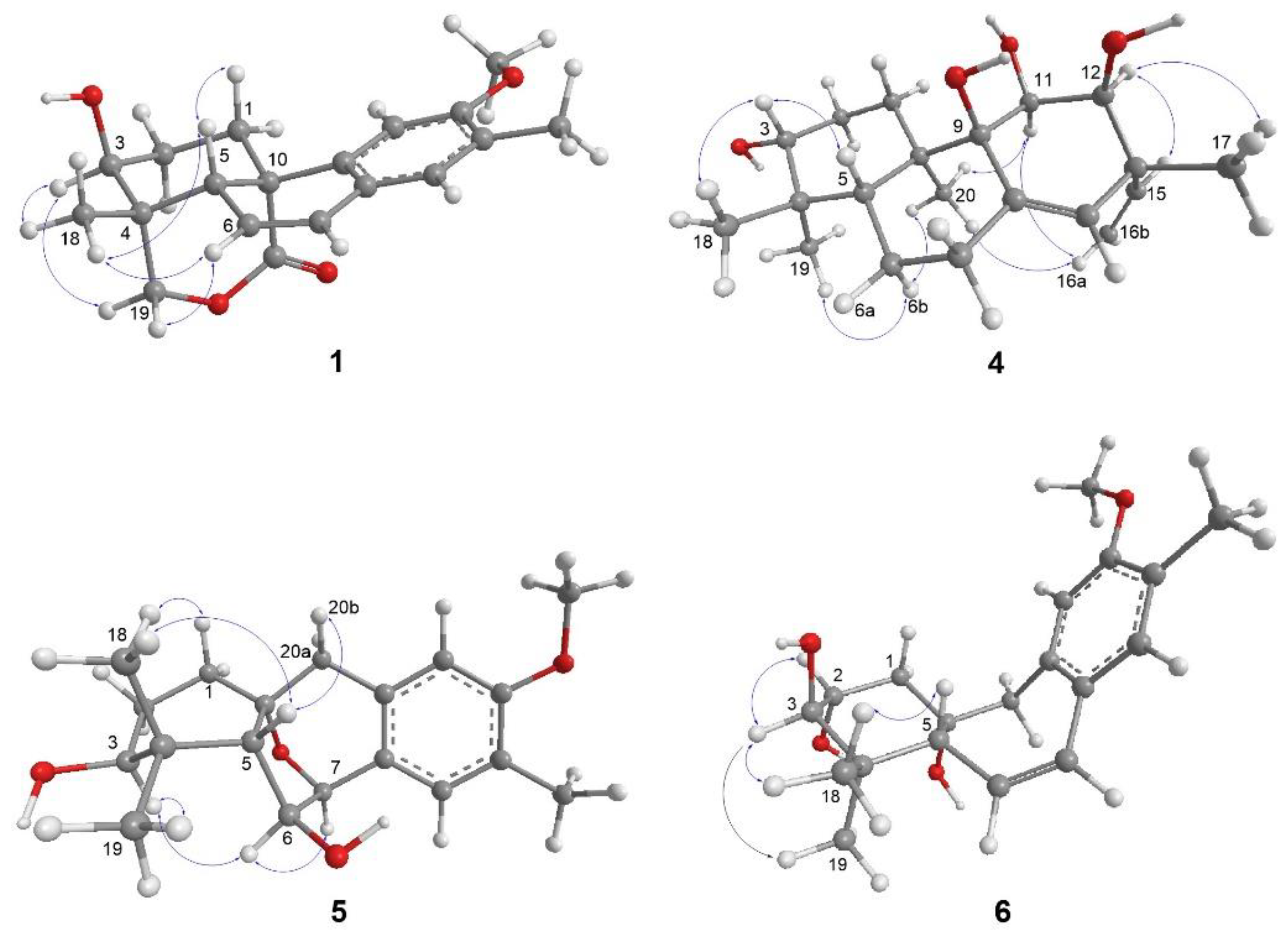 Molecules 27 08548 g003 Molecules 27 08548 g003